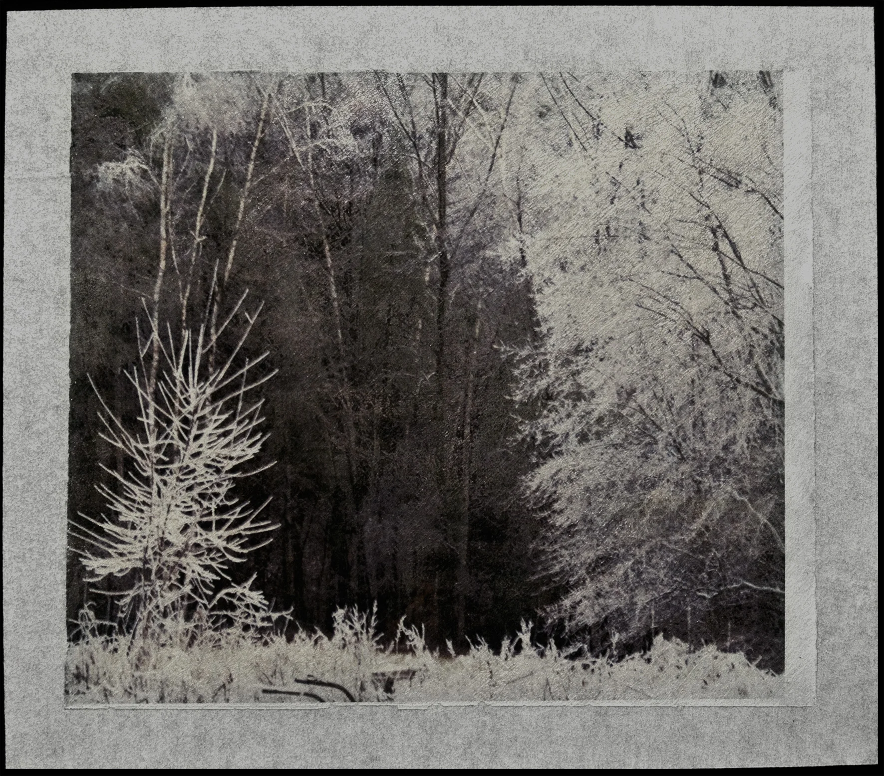      Archival pigment print on tarlatan, hand applied precoat with silver mica and acrylic.  