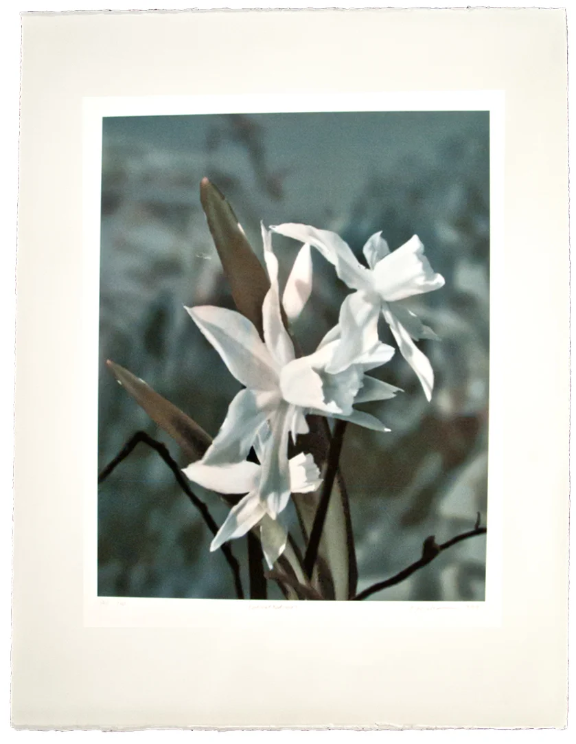   "Conversation"   11 ⅝” x 13 ½” 17” x 22 ¼"  Archival inkjet on Somerset Velvet edition of 16 