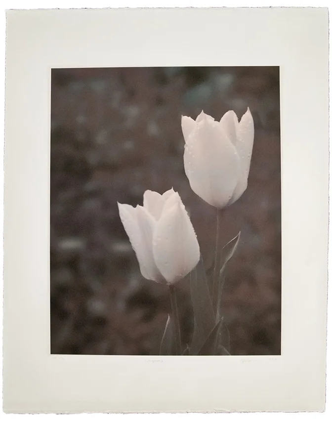   “Whisper"   11 ⅝” x 13 ½” 17” x 22 ¼" Archival inkjet on Somerset Velvet edition of 16 