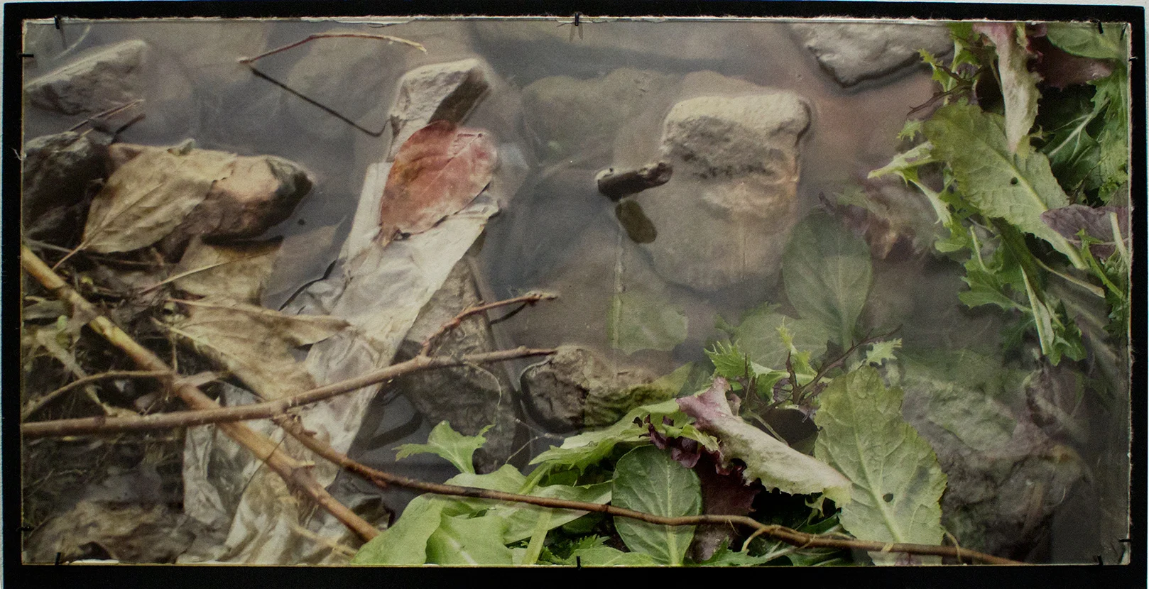 “Reconnect" 25 ½" X 14" Wet plate, digital, film transfer on clear glass, backed with handmade Lakota paper and hand painted metallic, gold acrylic size includes frame