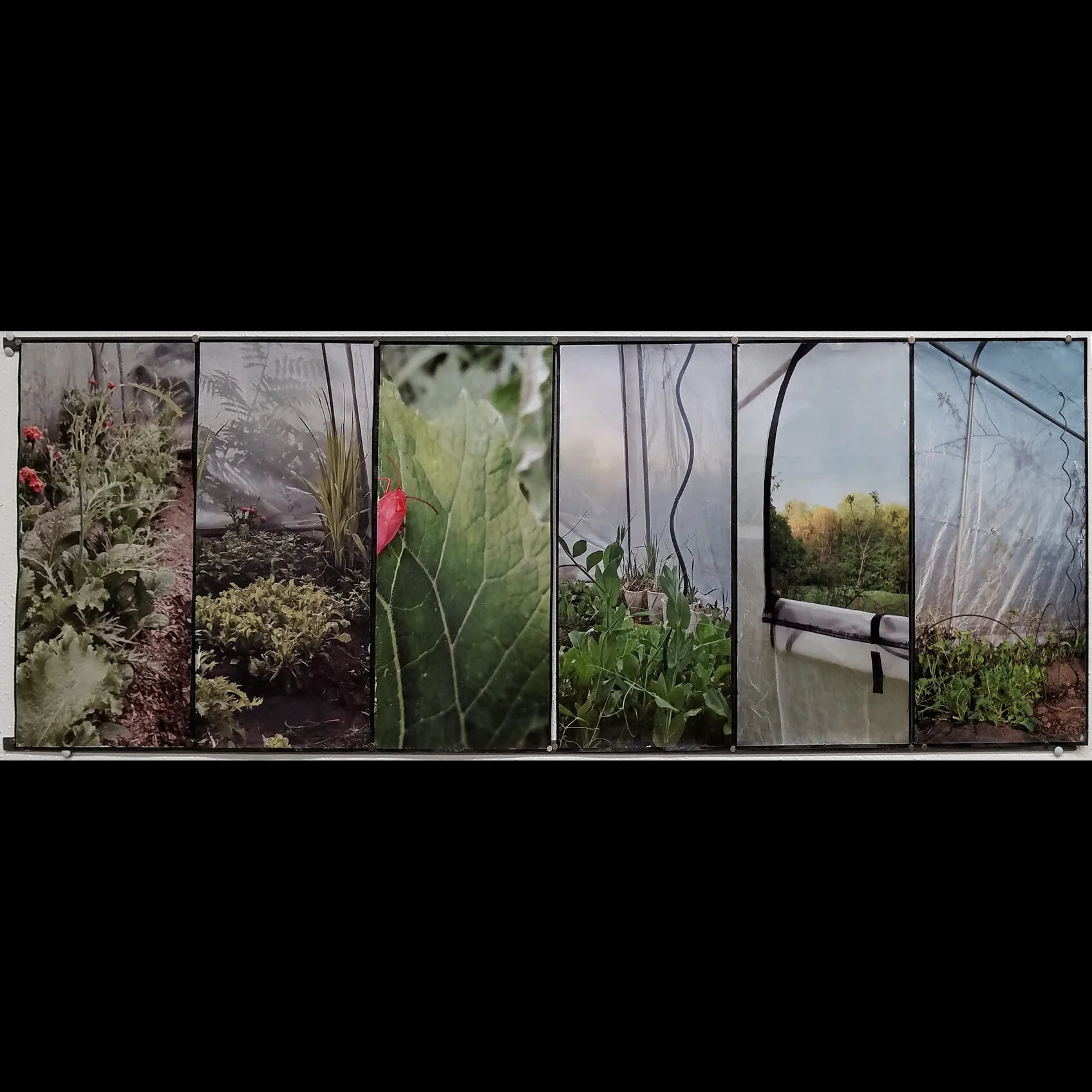 6imageStri[ copy.jpg