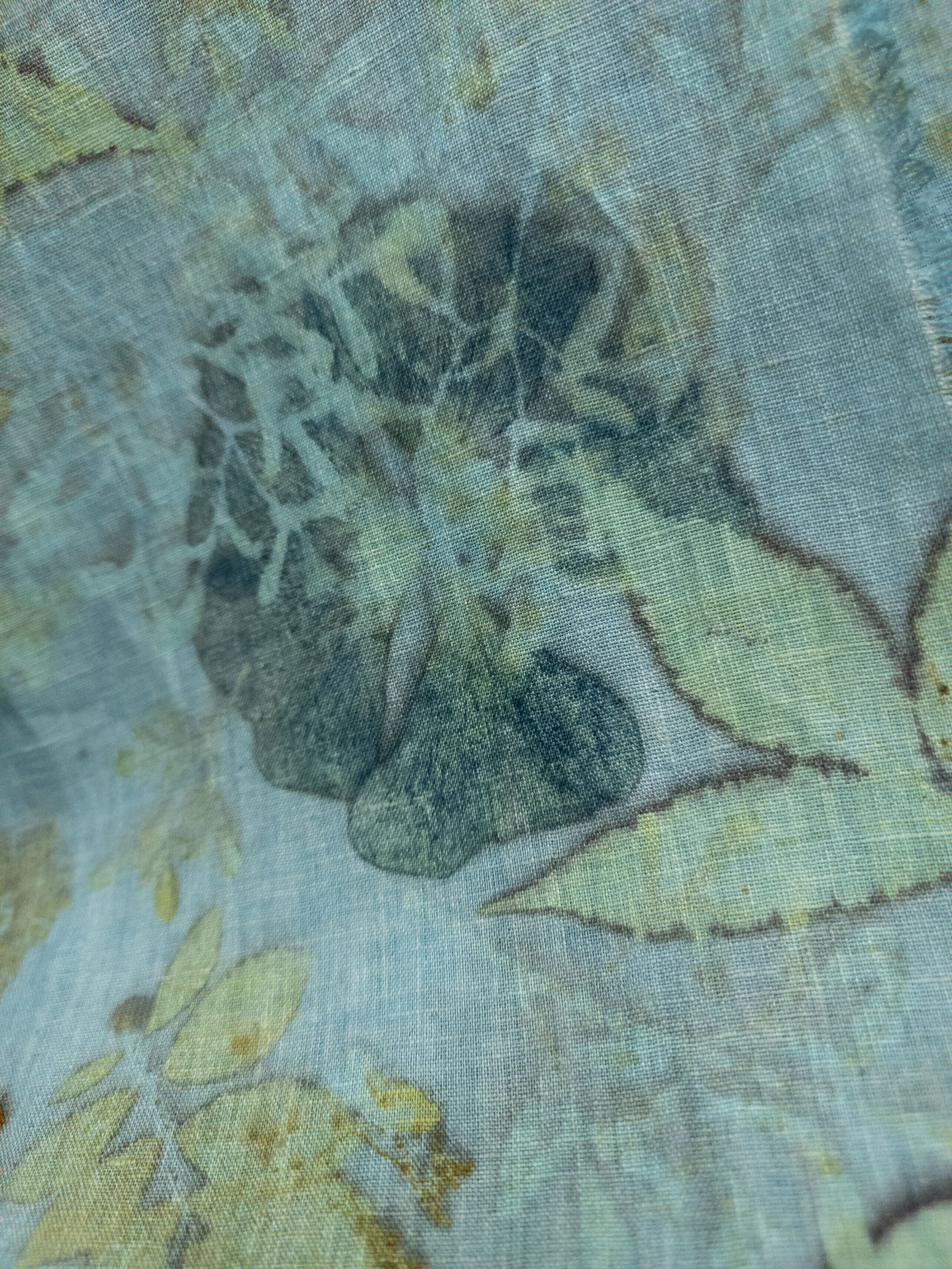 Closeup.jpg