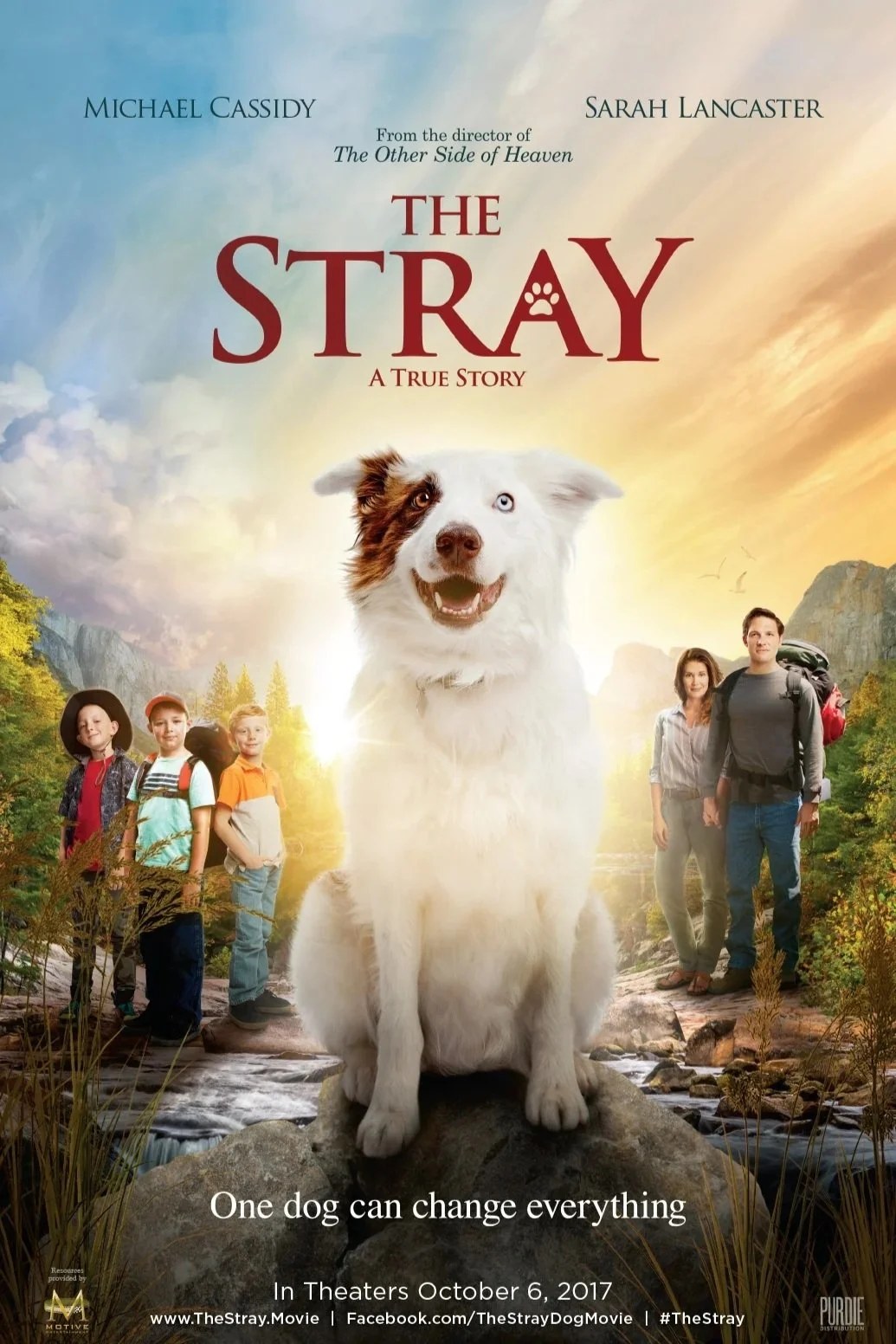 The+Stray+Poster.jpg