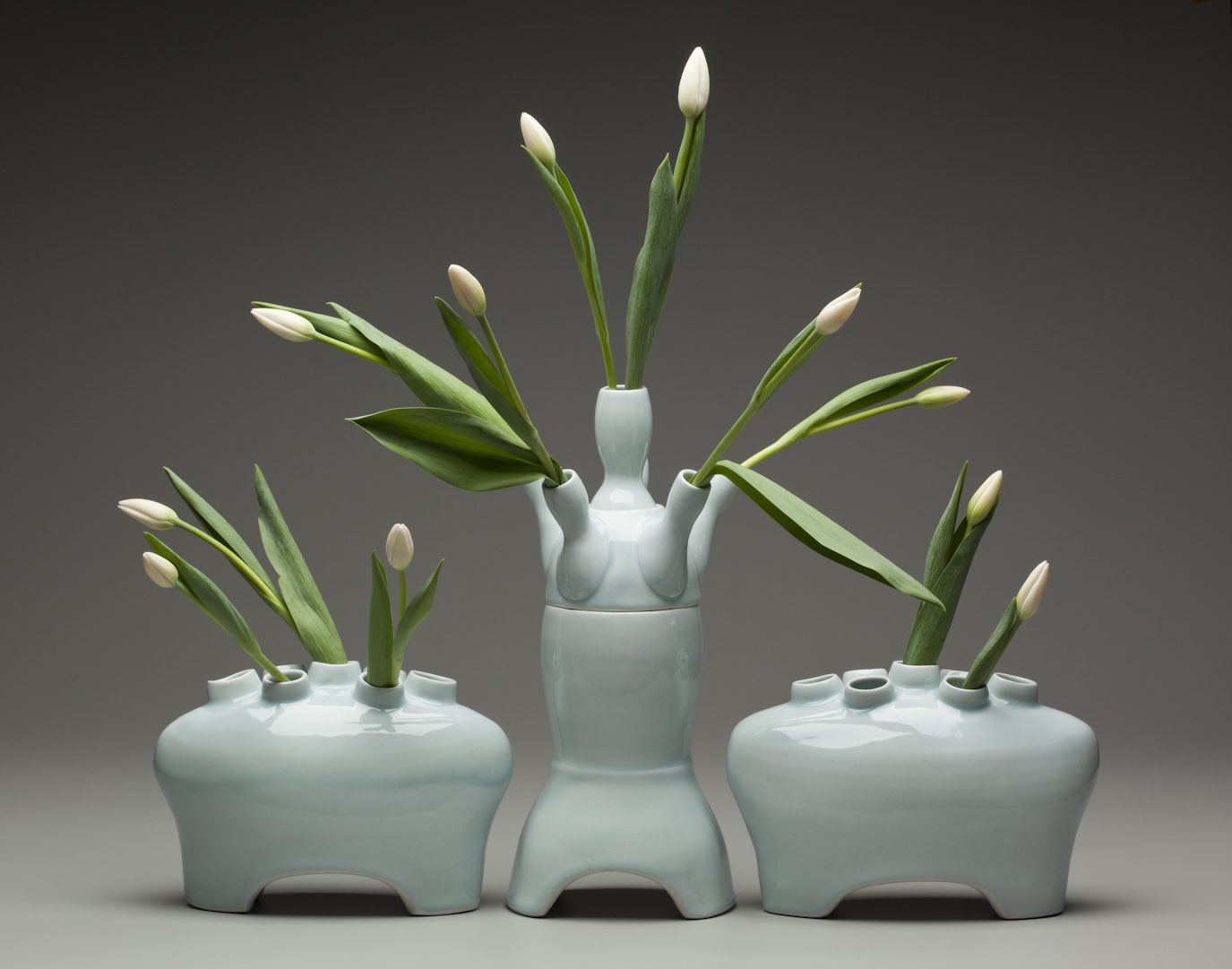 Celadon Tulipiere