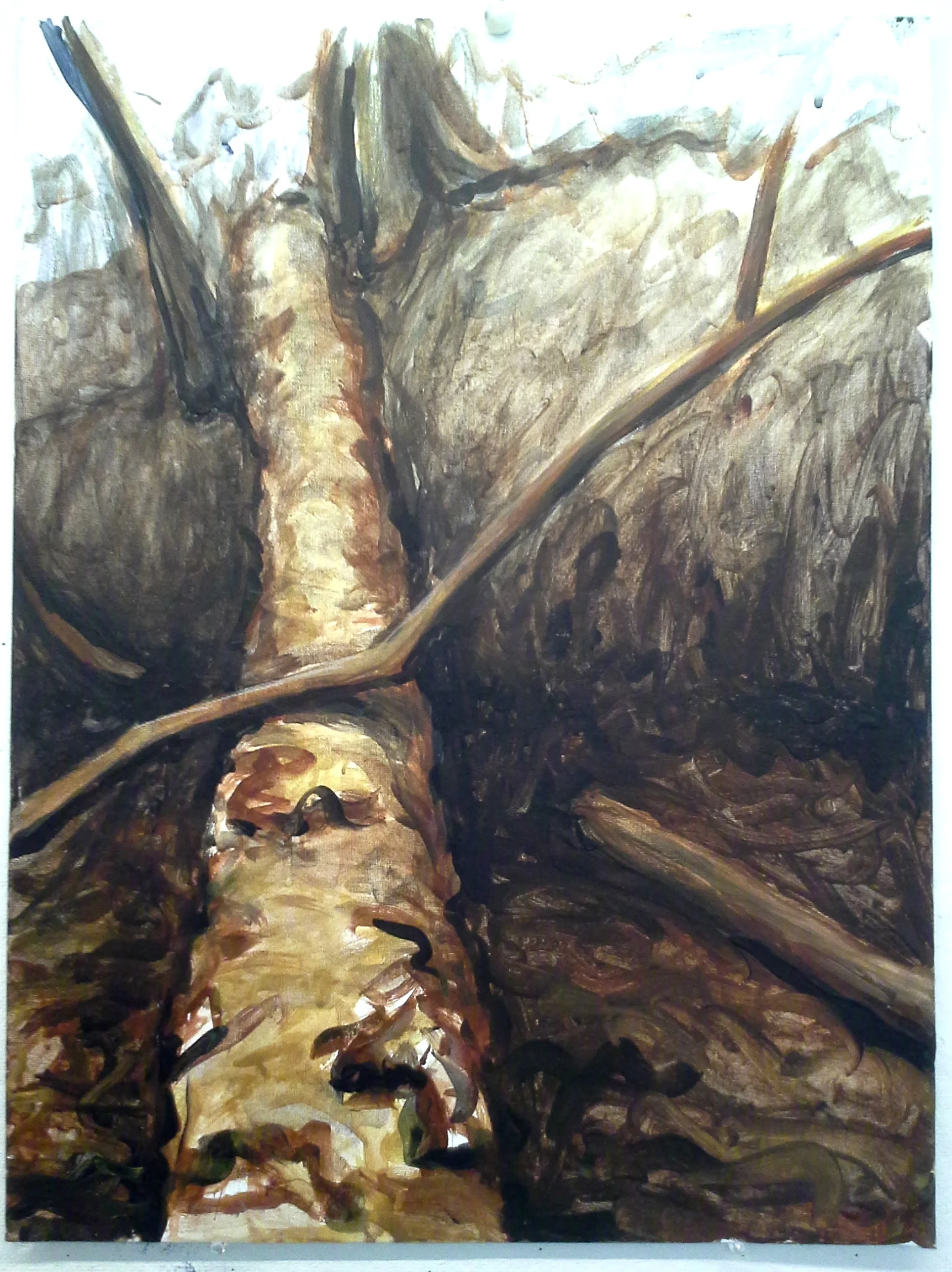 Fallen, Fanno Creek Trail