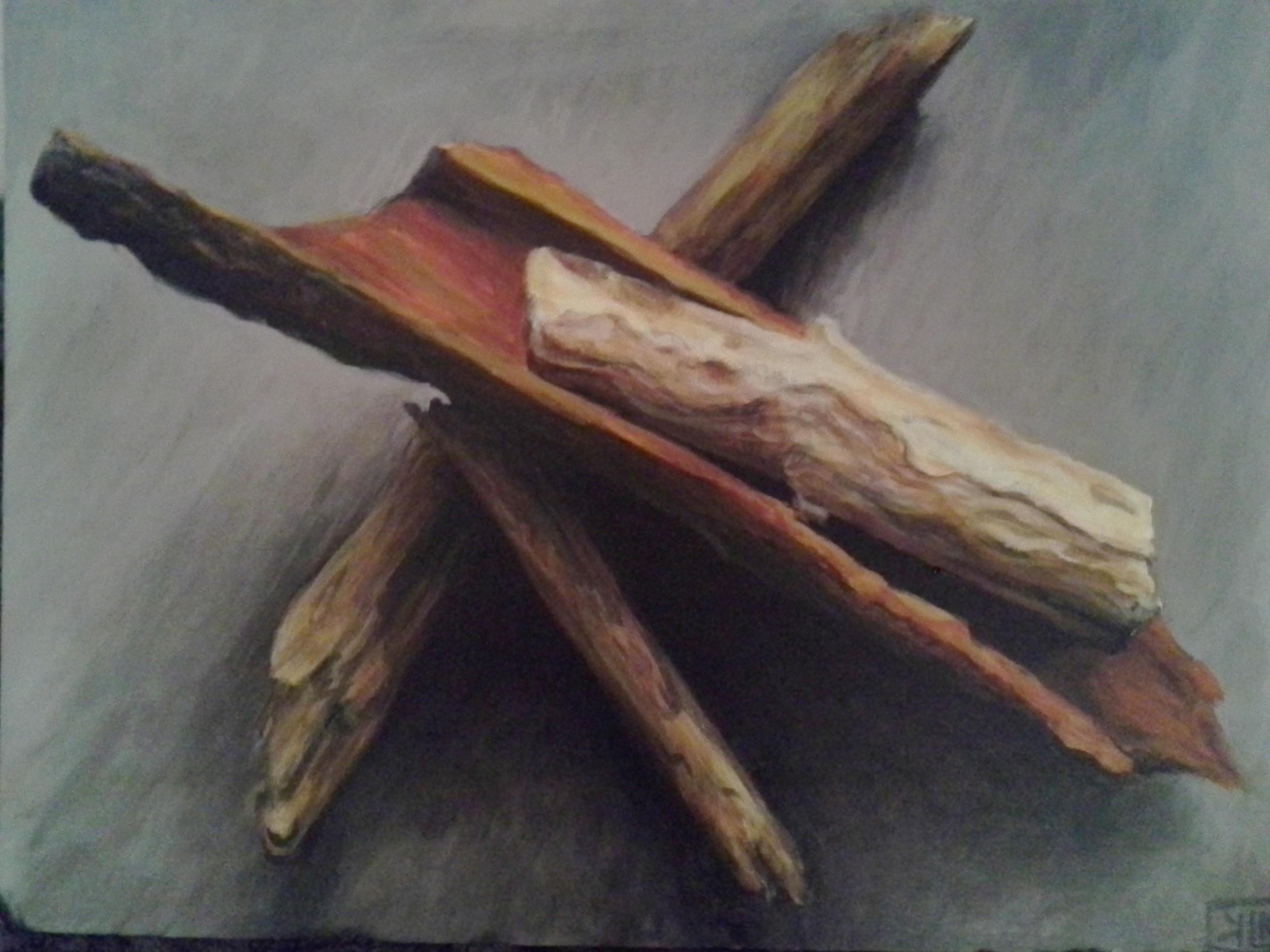 A Pile of Found Rotting Wood