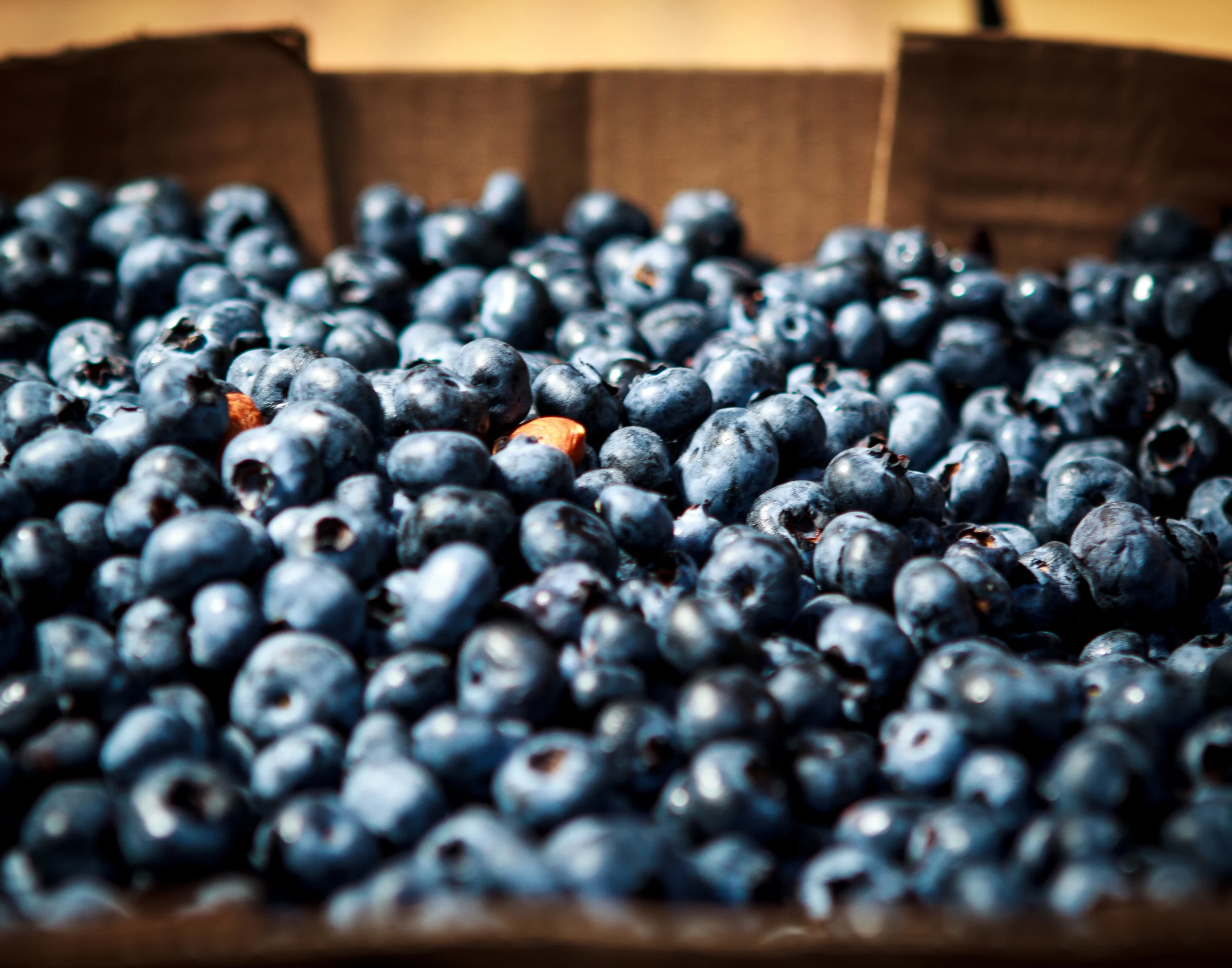 Blueberries