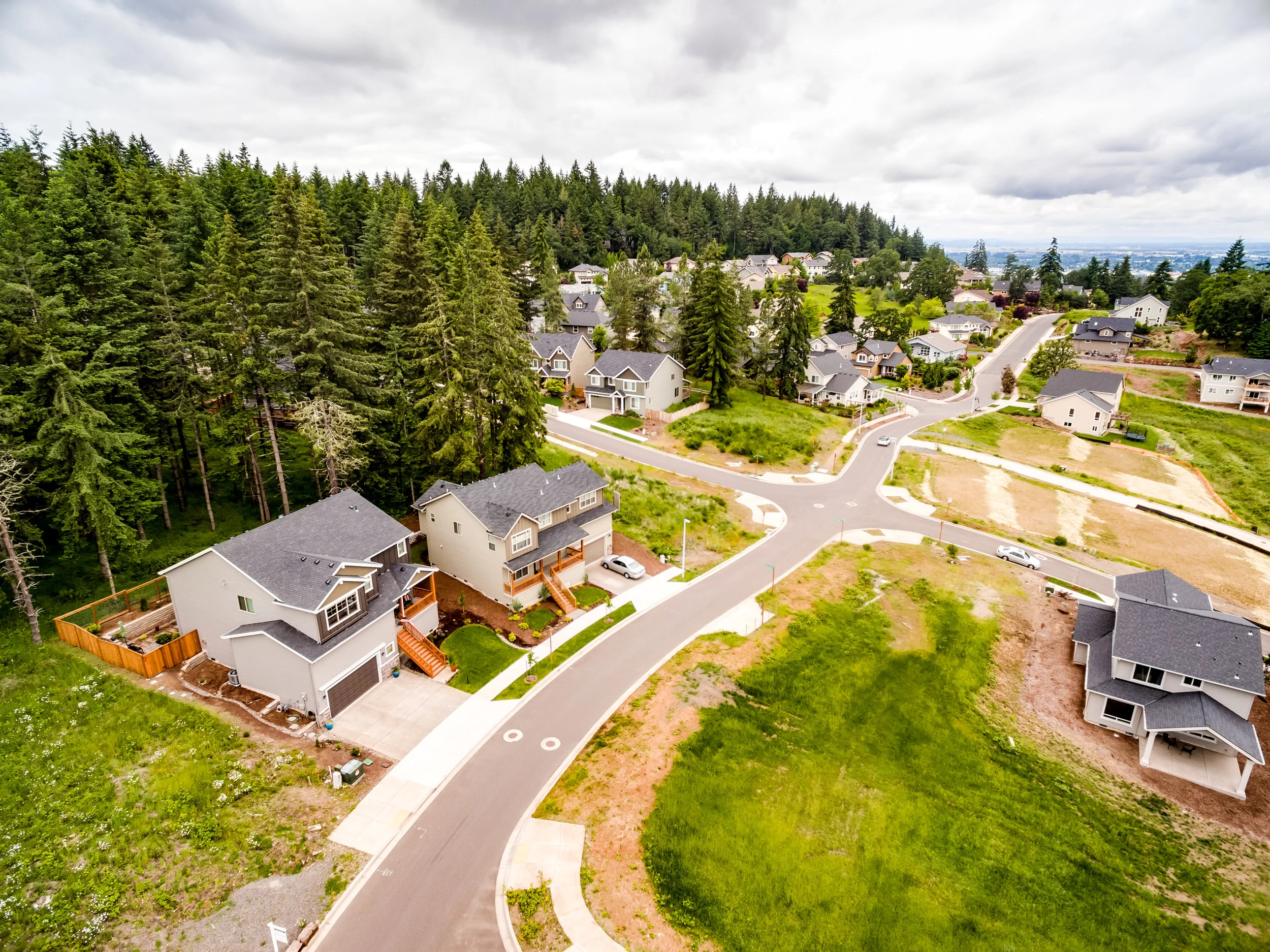 3237 Timberline-Large-10.jpg