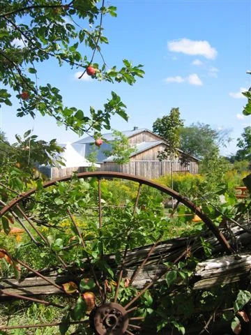 Wagon-wheel-2.jpg