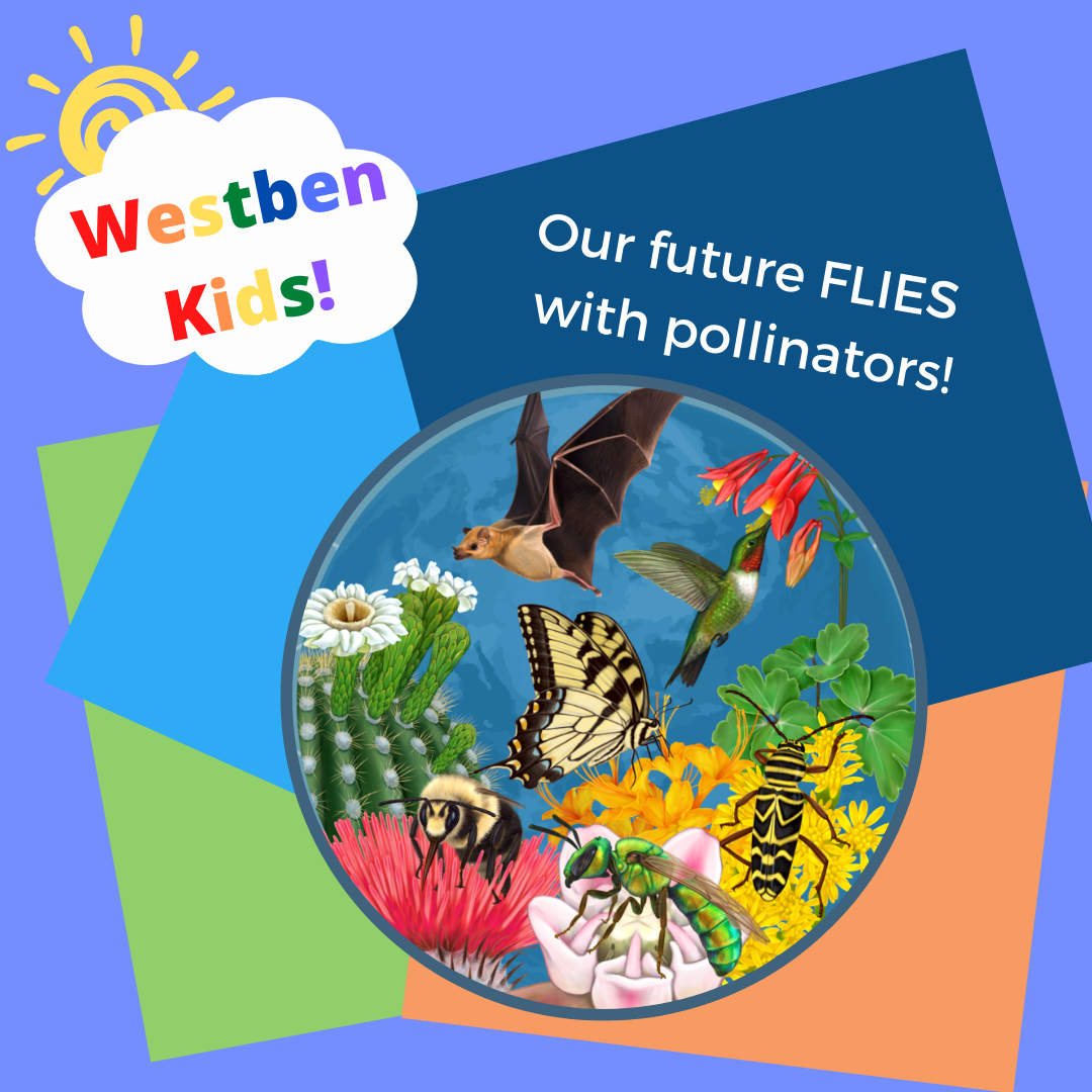 Westben Kids - What does it mean to be a "Bee City"?