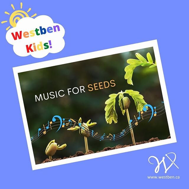 🐝Westben Kids! Campbellford was named a Bee City in 2019. What does this really mean? Guided by the 3 main goals of @beecity_canada , learn how #music can support healthy bee habitats!

Link in bio!