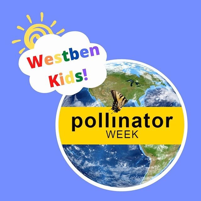 🎉Wednesdays are for Westben kids! It's National Pollinator Week! Let's celebrate by using MUSIC to help bee-friendly gardens grow. Thank you to Kat Kinch &amp; Cara Eddie for sharing their Music for Seed project with us. ⁣
⁣
🌱 What do the Music for
