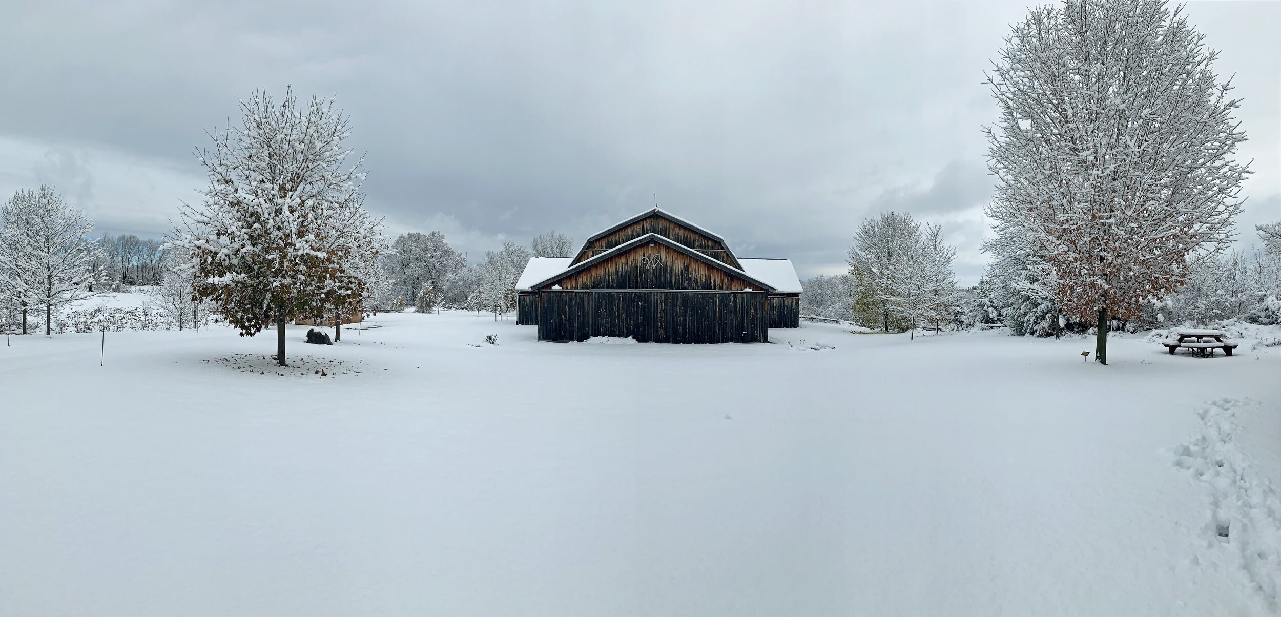 Winter Barn 2019_AH (27).jpg