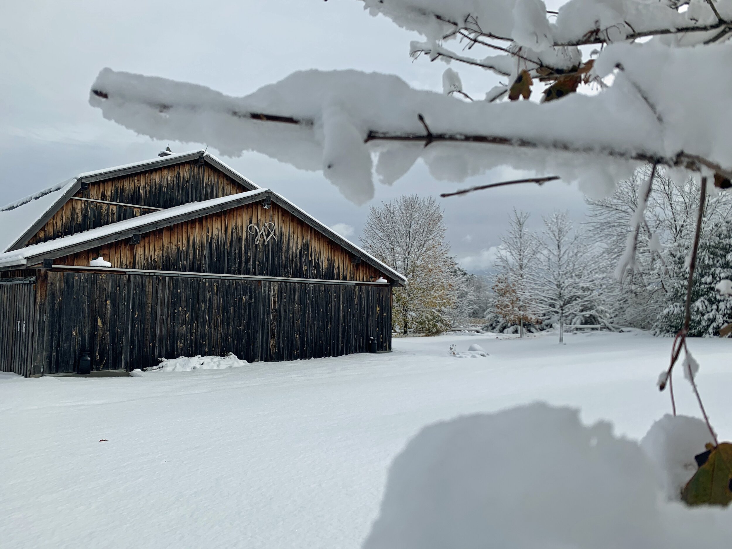 Winter Barn 2019_AH (59).jpg
