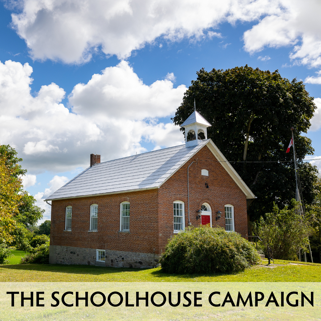 THE SCHOOLHOUSE CAMPAIGN.png