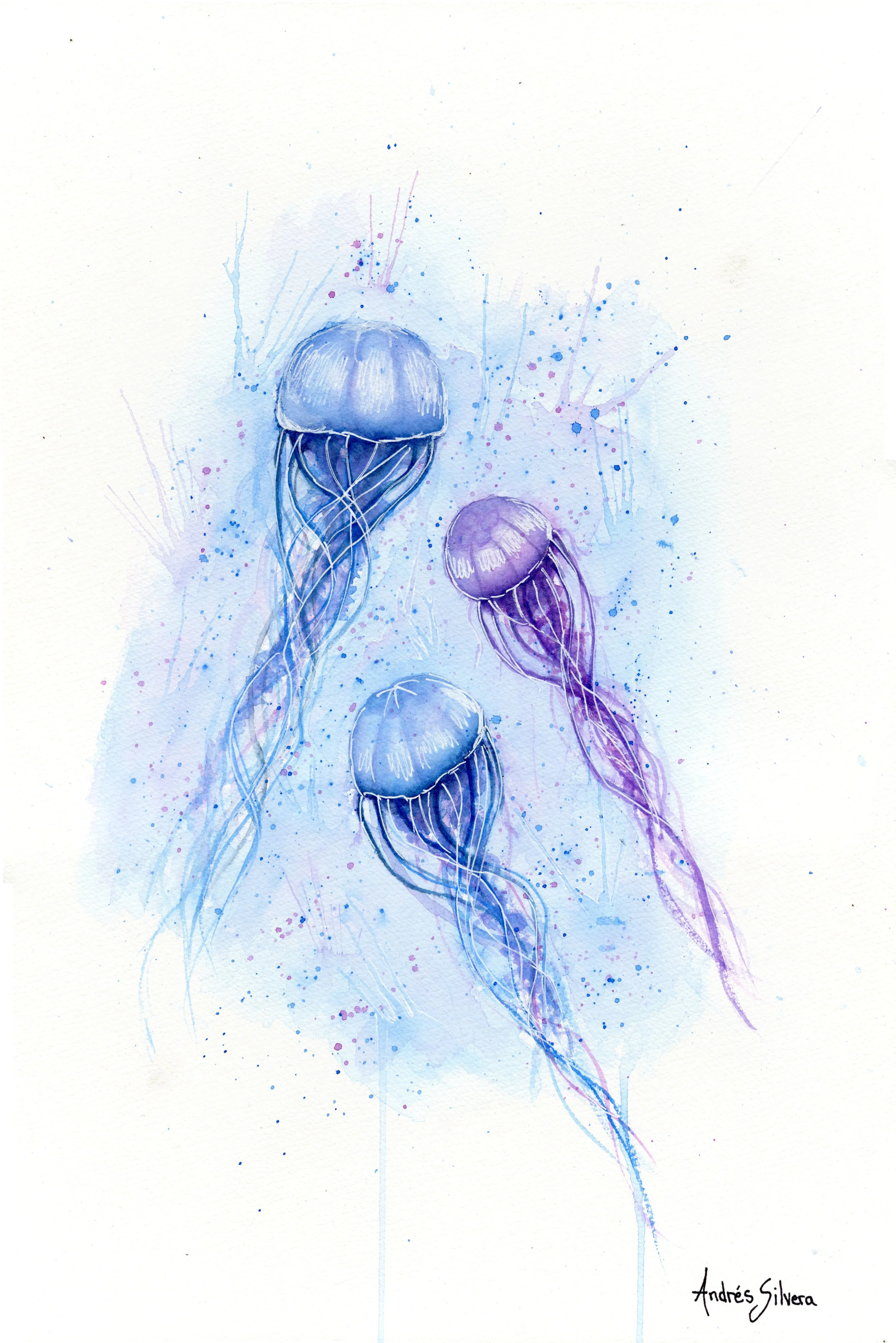 Jellies