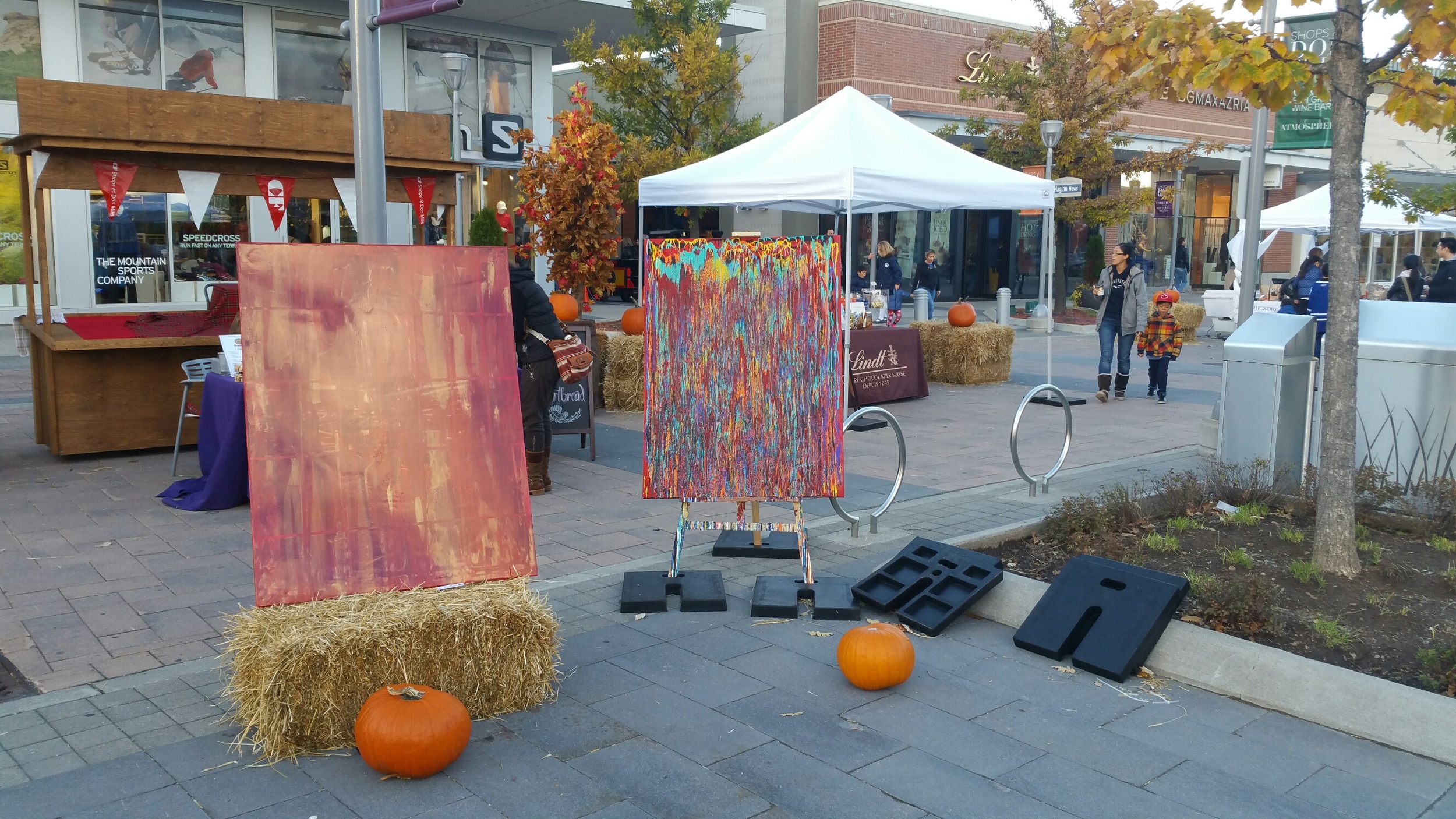 20151025_172208_resized.jpg
