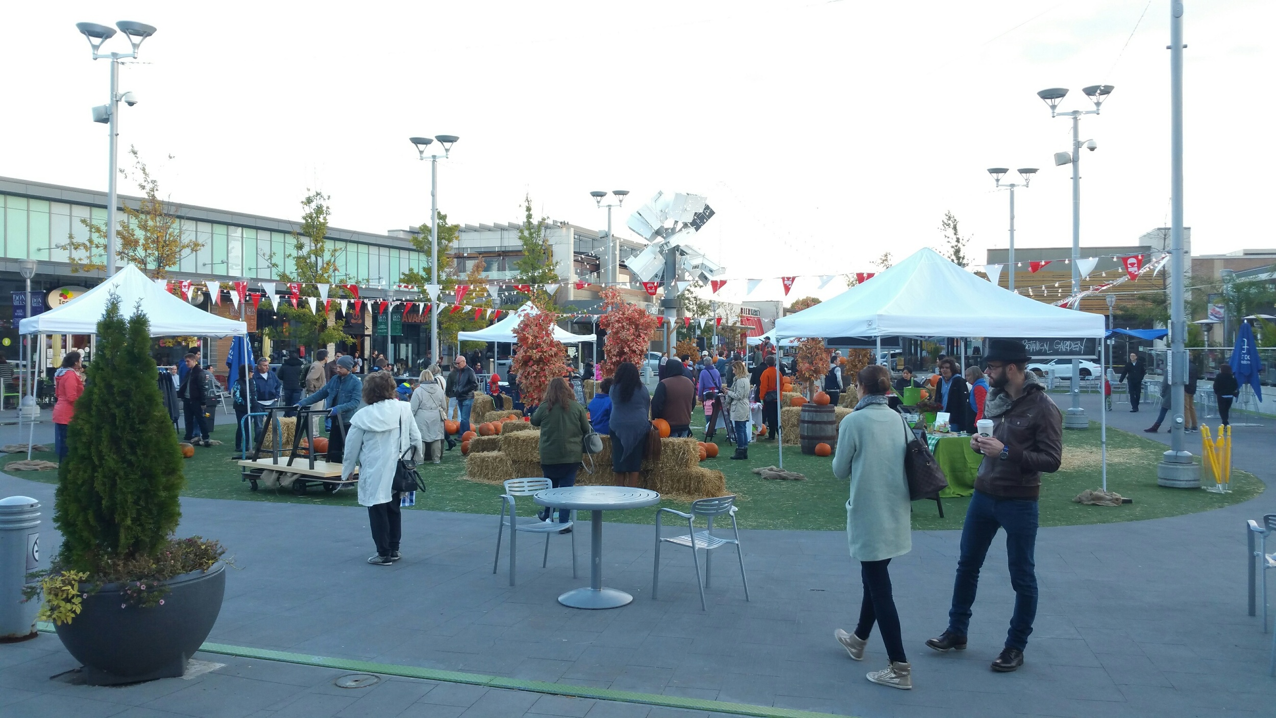 20151025_172305_resized.jpg
