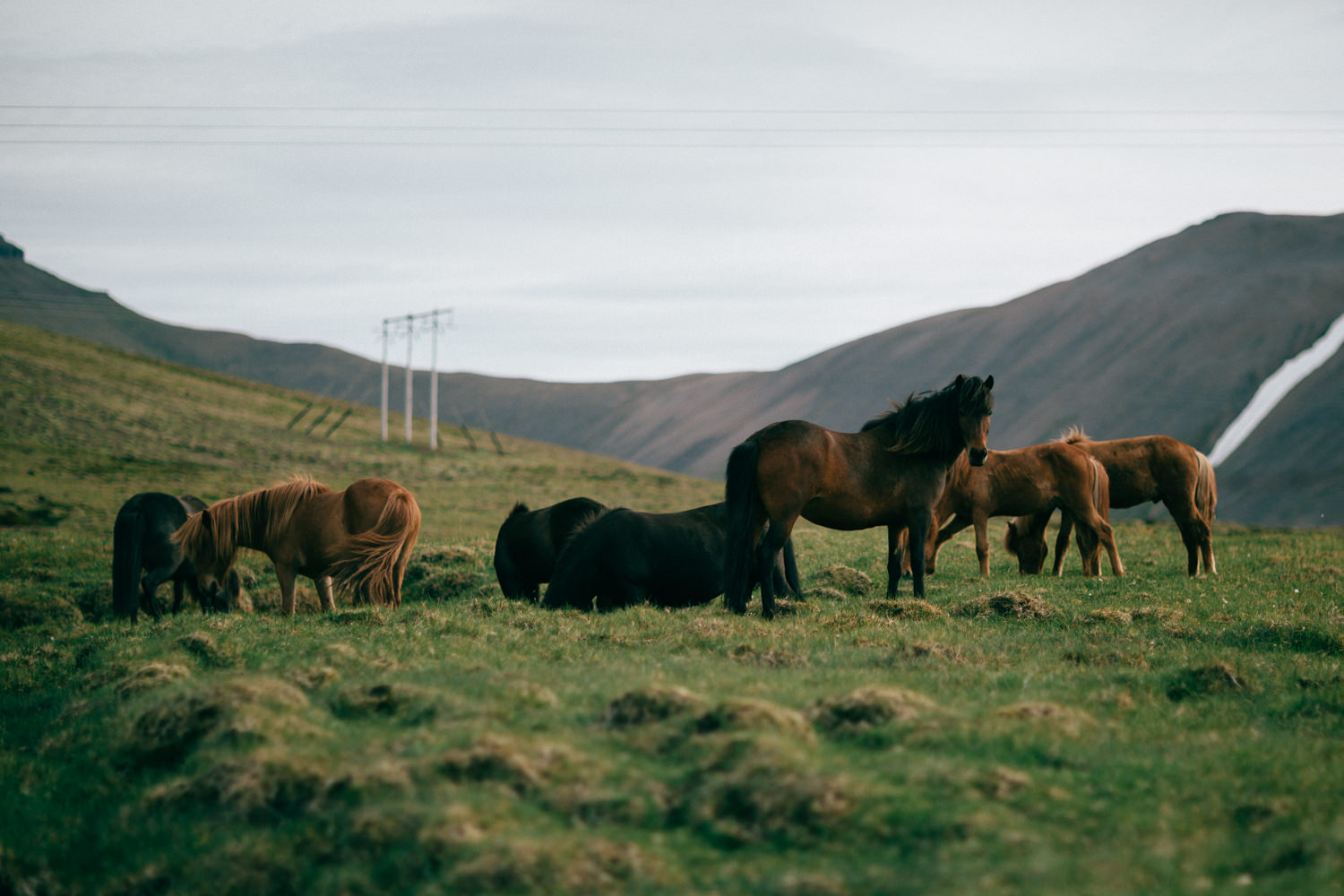 Iceland-9622.jpg