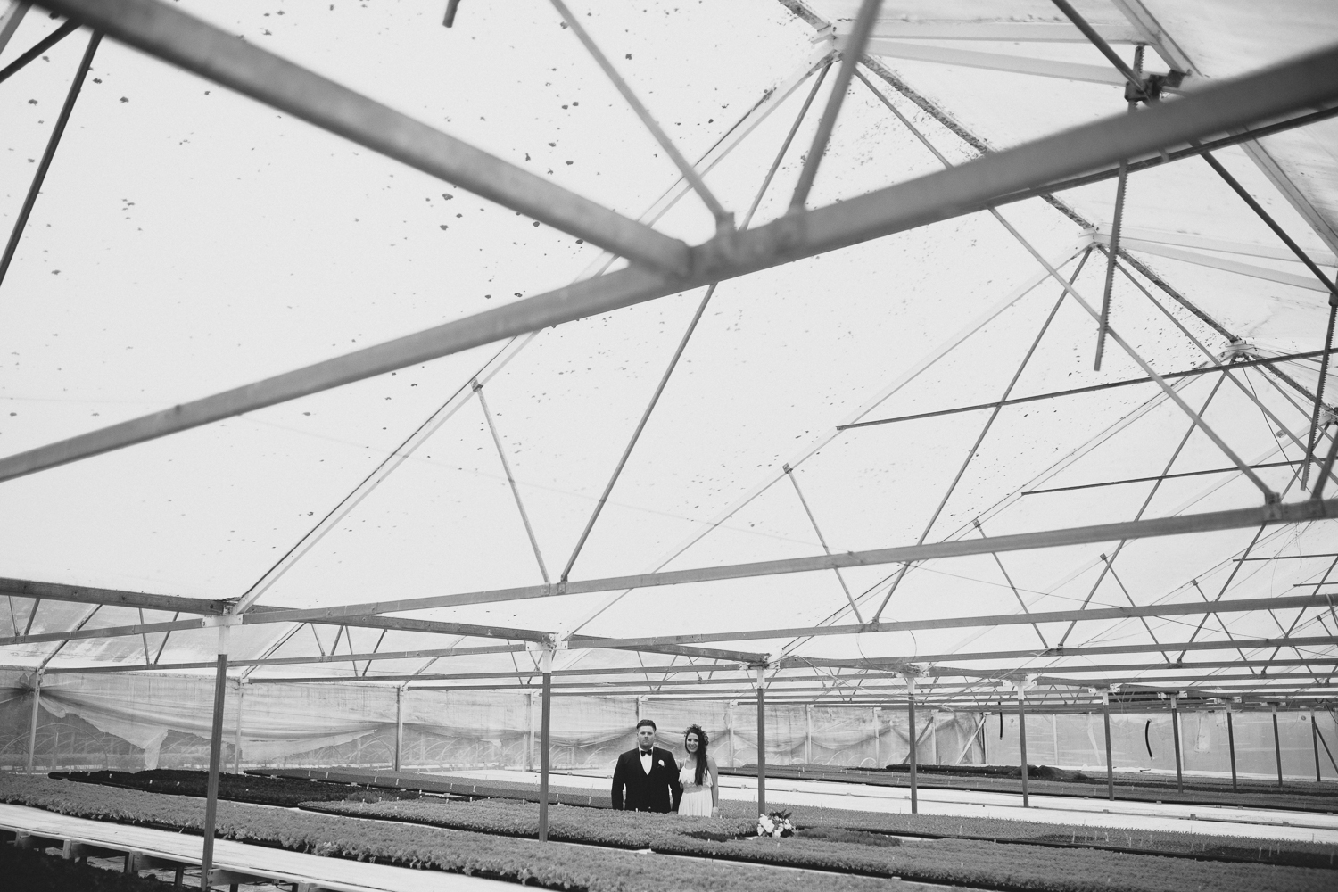 aucklandweddingphotographyIMG_8750.jpg