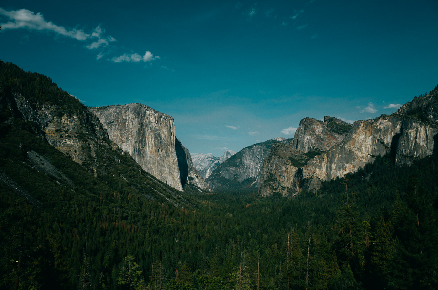 Yosemite-0000109.jpg