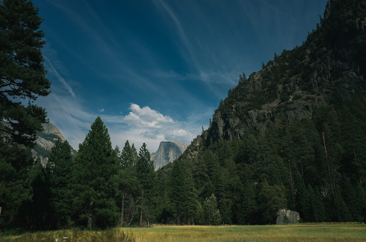 Yosemite-0000147.jpg