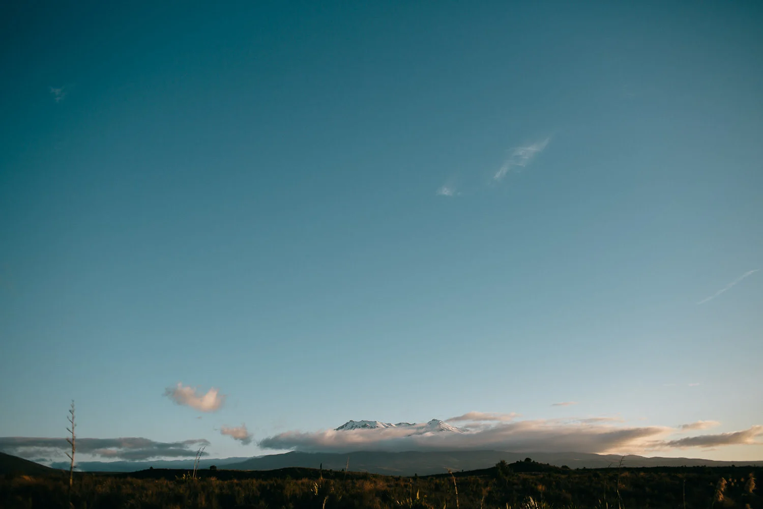 New-Zealand-elopement-8116.jpg