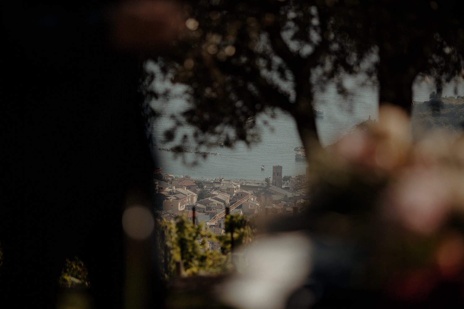 Cinque-Terre-wedding-photographer-8707.jpg