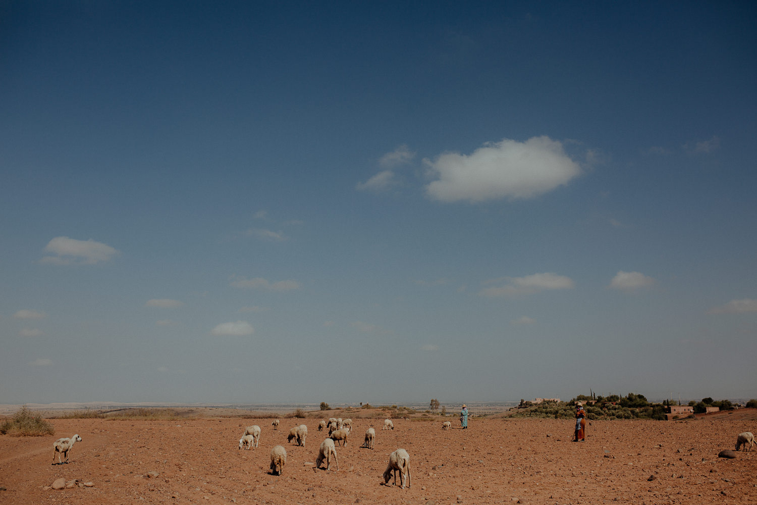 Marrakesh-wedding-photographer-1493.jpg