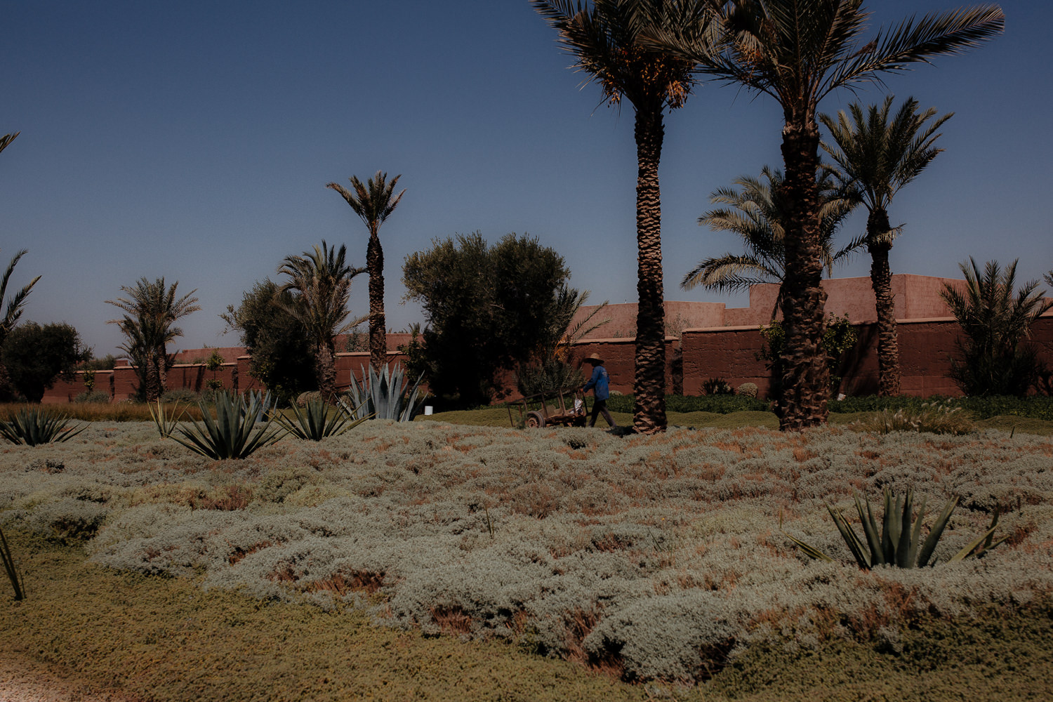 Morrocan-wedding-photographer-the-Palms-1979.jpg