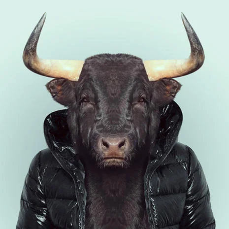 From Zoo Portraits by Yago Partal
