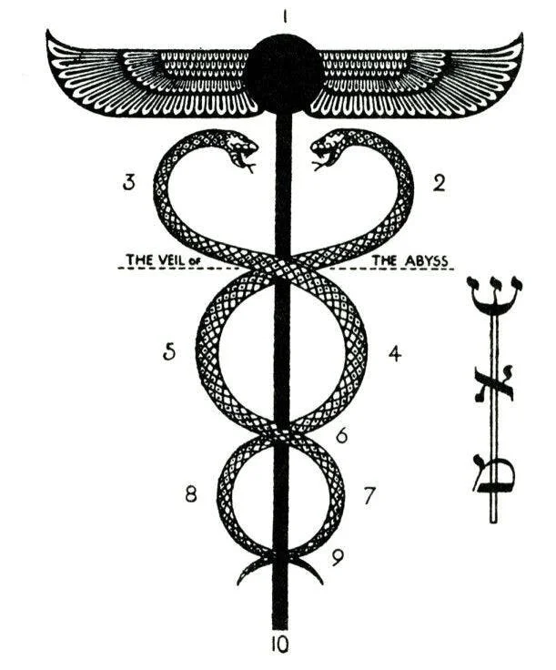 the reptile in me sees the reptile in you