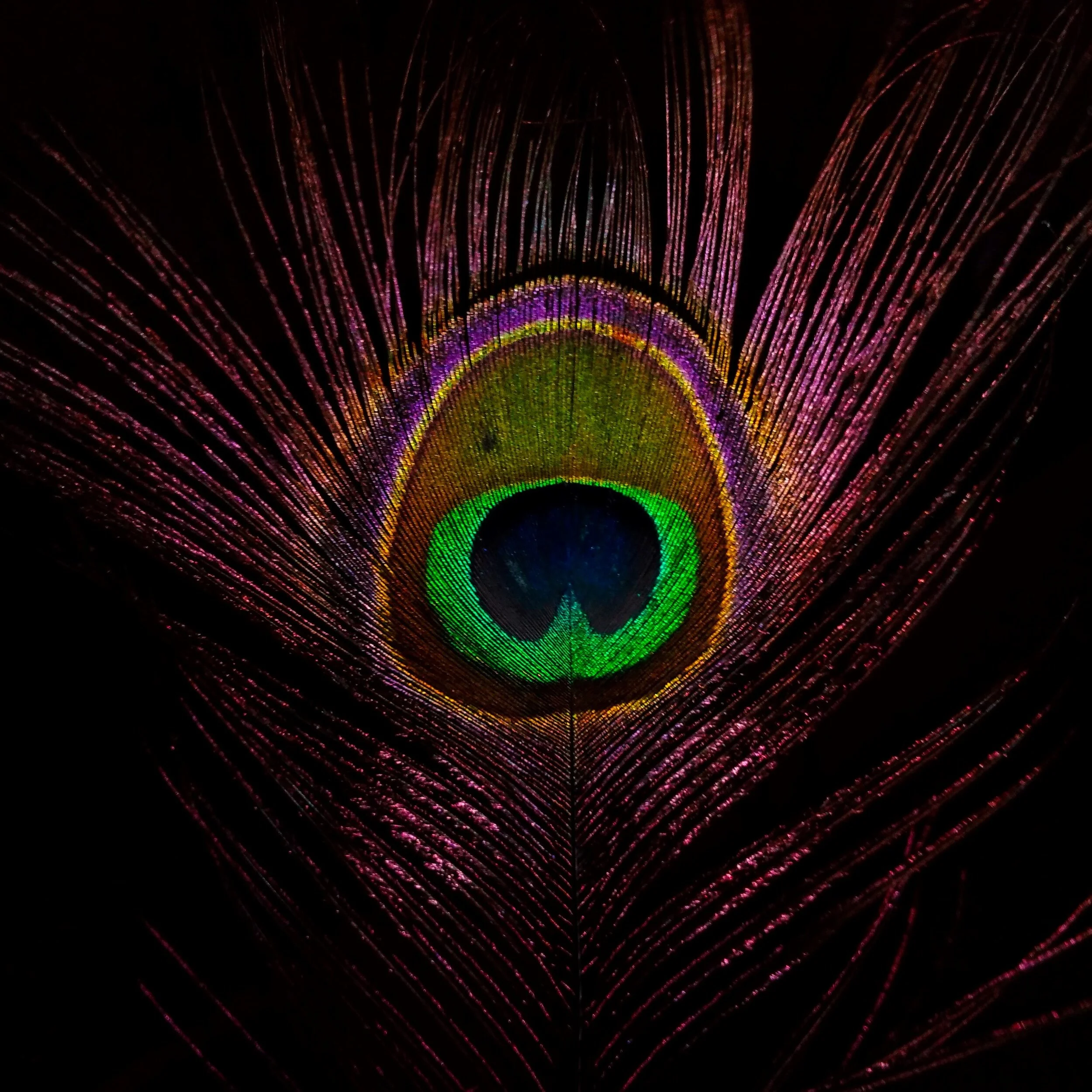 a quick &amp; dirty roadmap to dialogue with your Fate / Holy Guardian Angel / Agathosdaimon