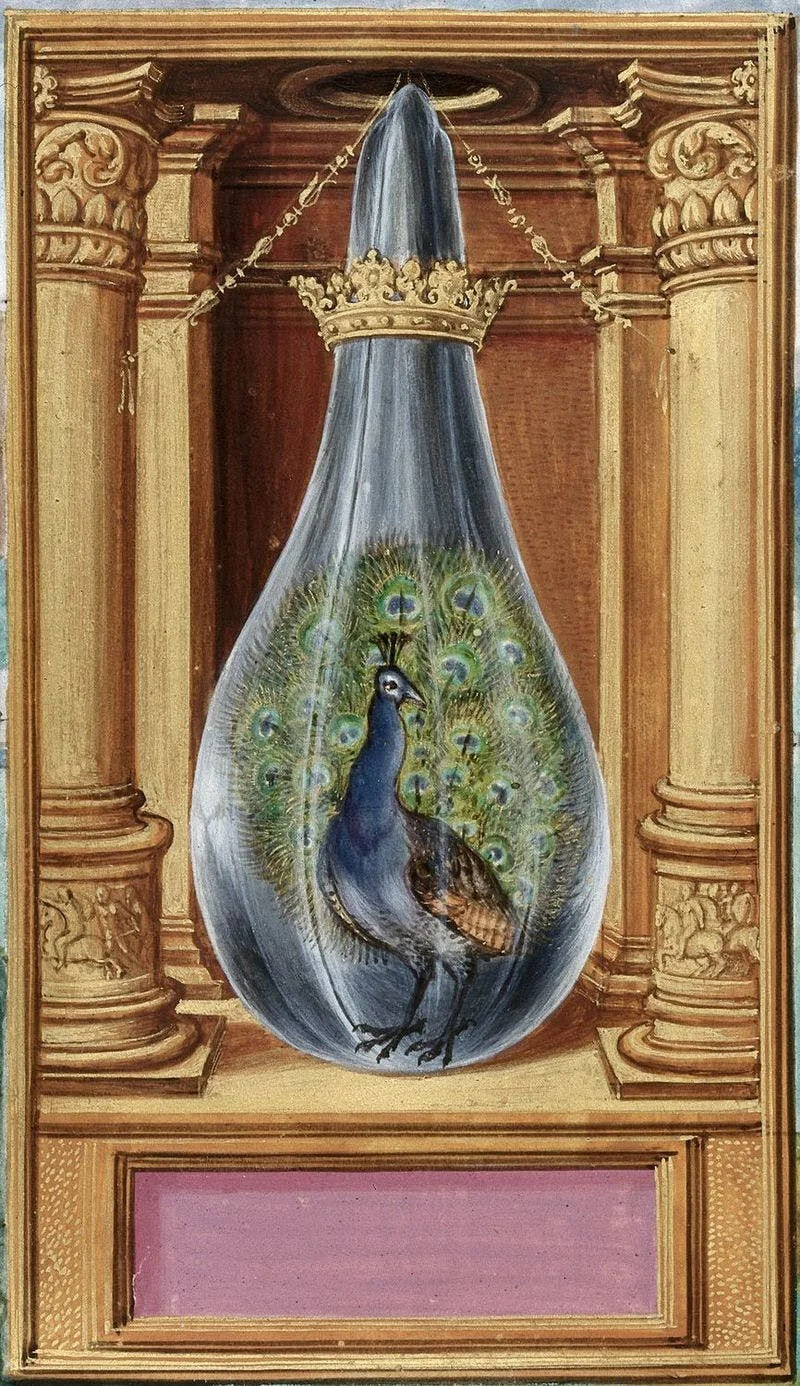 Is the mystical alembic half-empty, or half-full of sublime Peacock? Let's go with half-full. :)