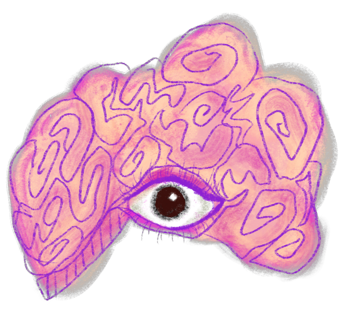 All_the_eyes brain.png