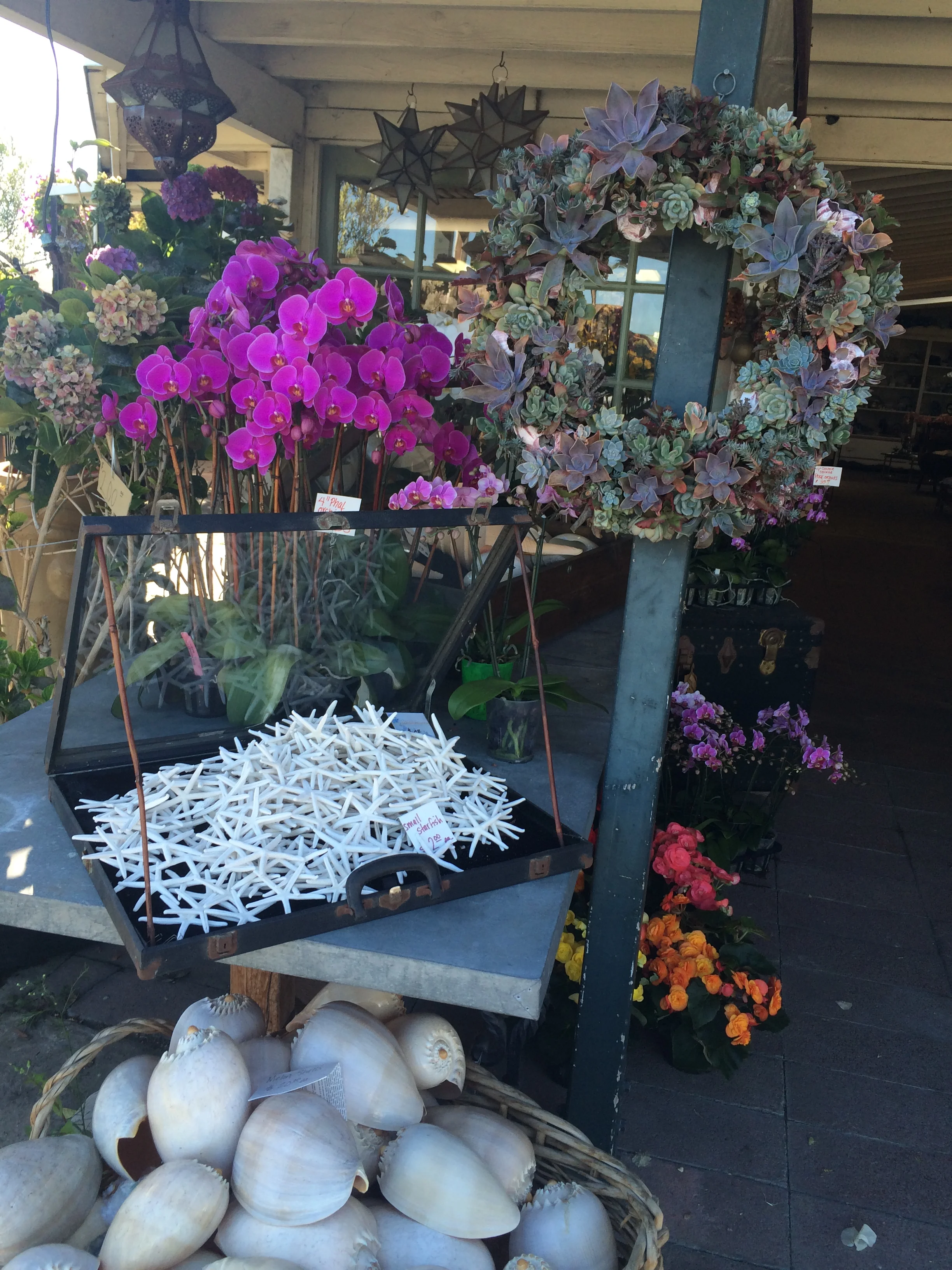 Love that surpasses knowledge - Jes`us, Jesus & the Crossfit Games 2014 