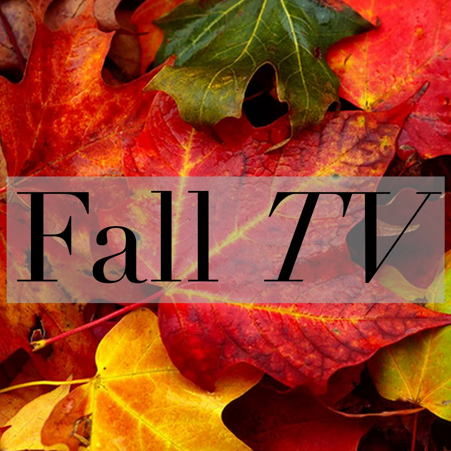 Fall 2015 TV Show Line Up 