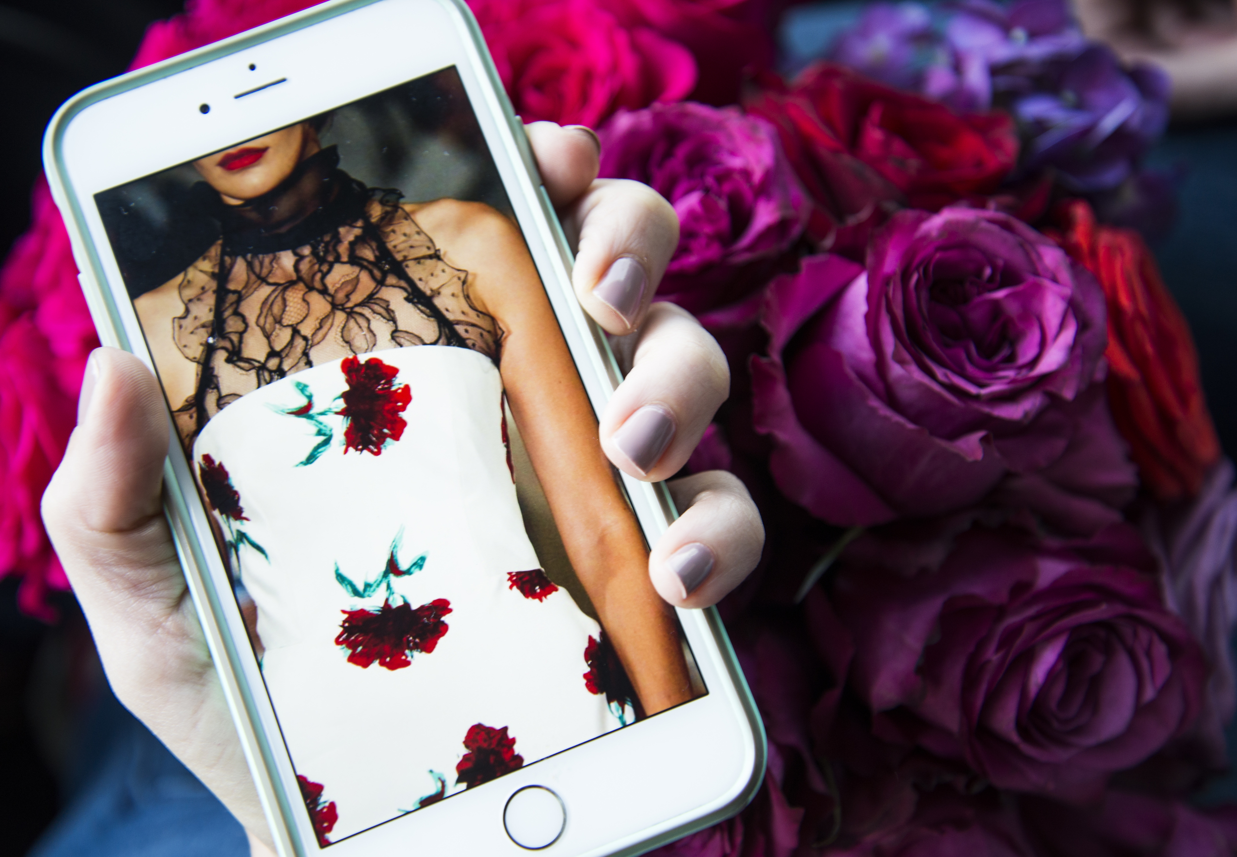 Insta Changes Their Feed 