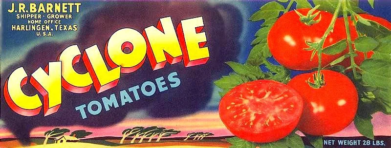 cyclone-tomatoes.jpg