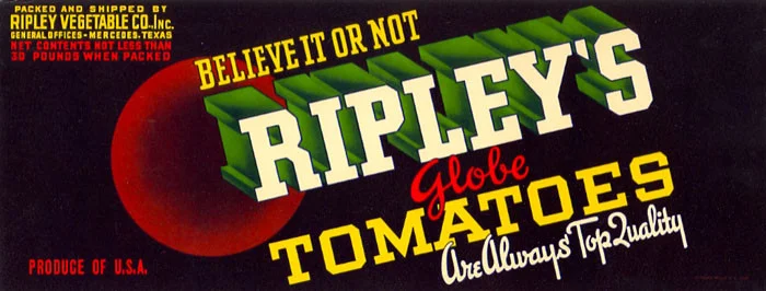 believe-it-or-not-tomatoes.jpg