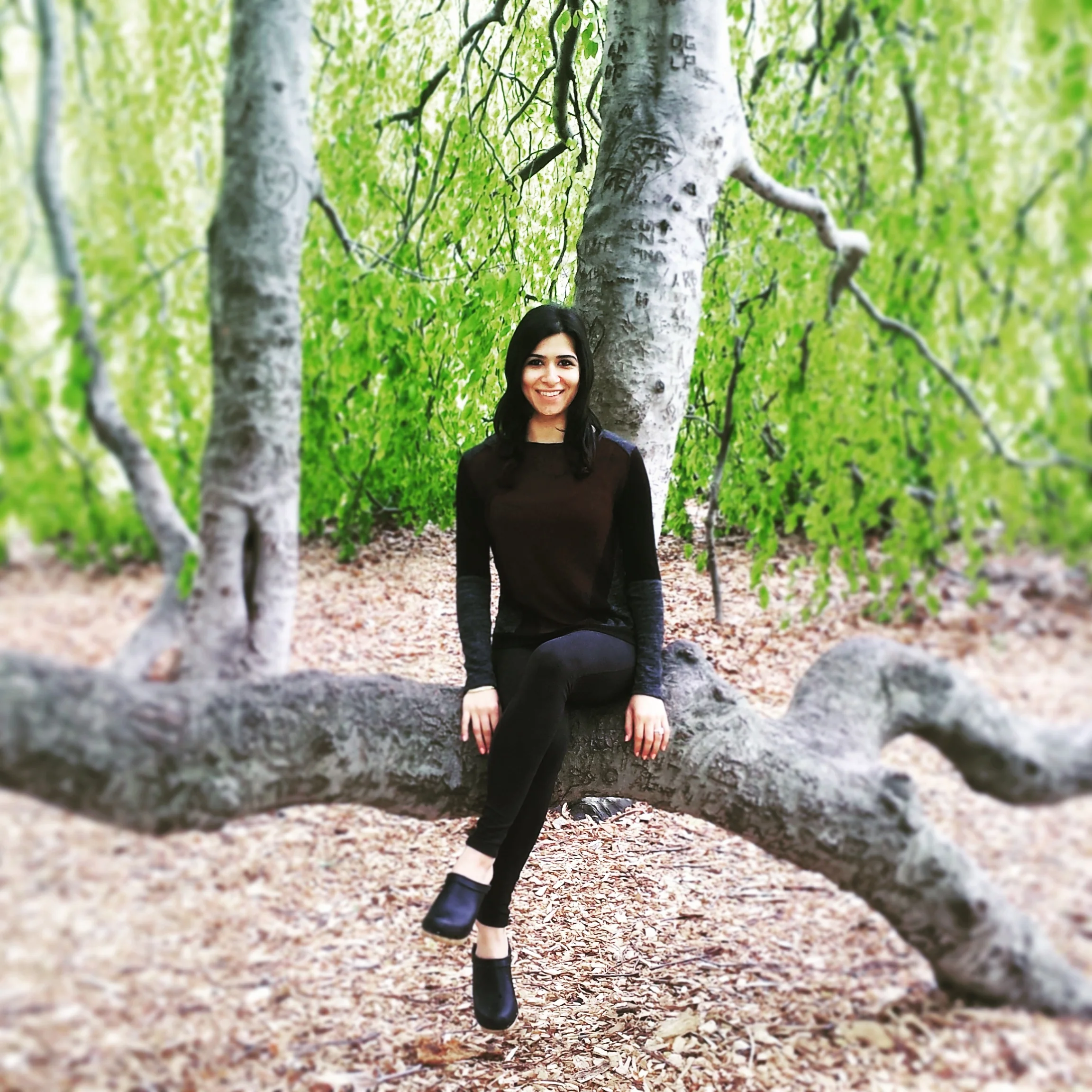 meeshwillowtree.jpg