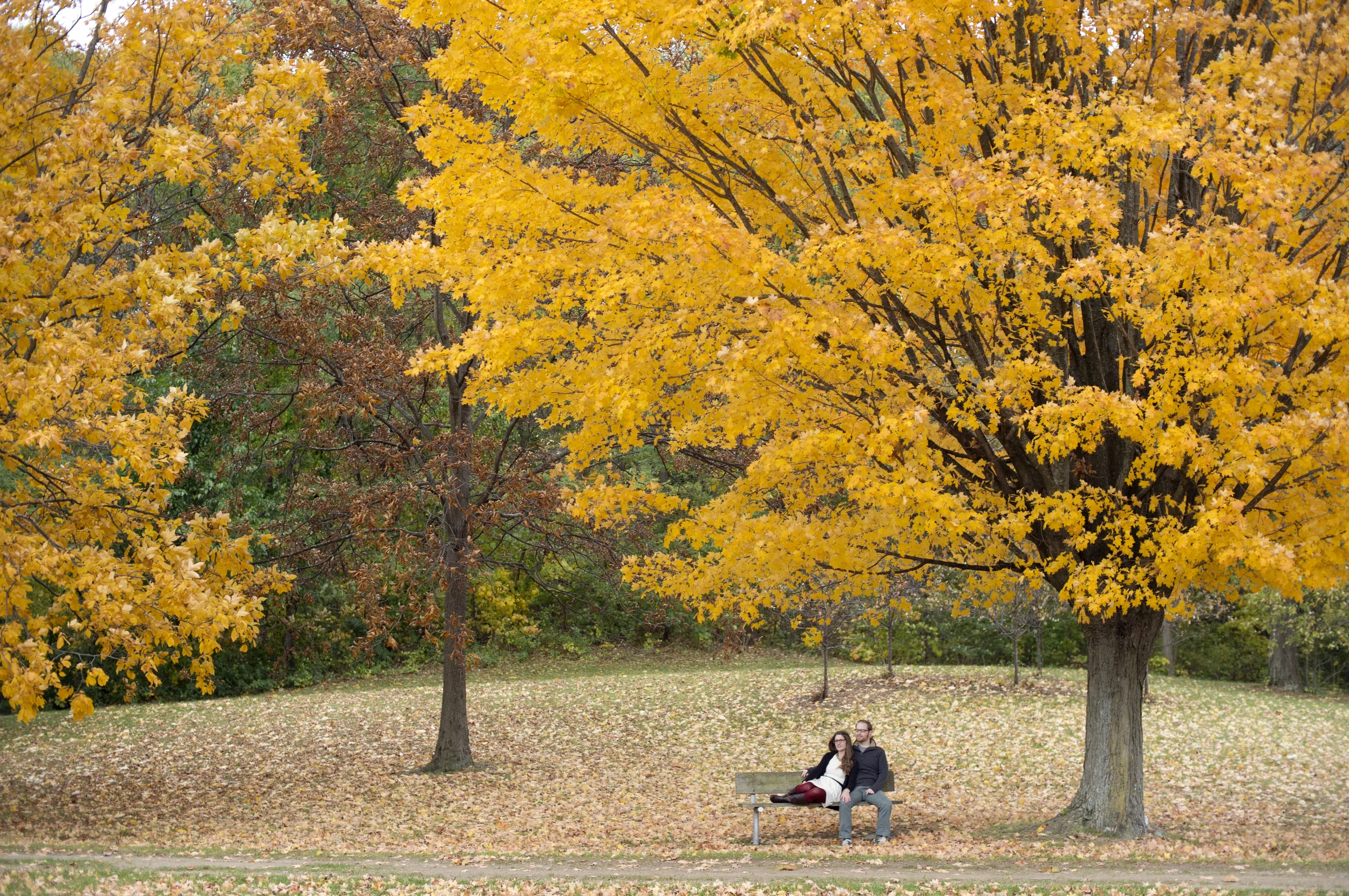 00 Engagement 13.JPG