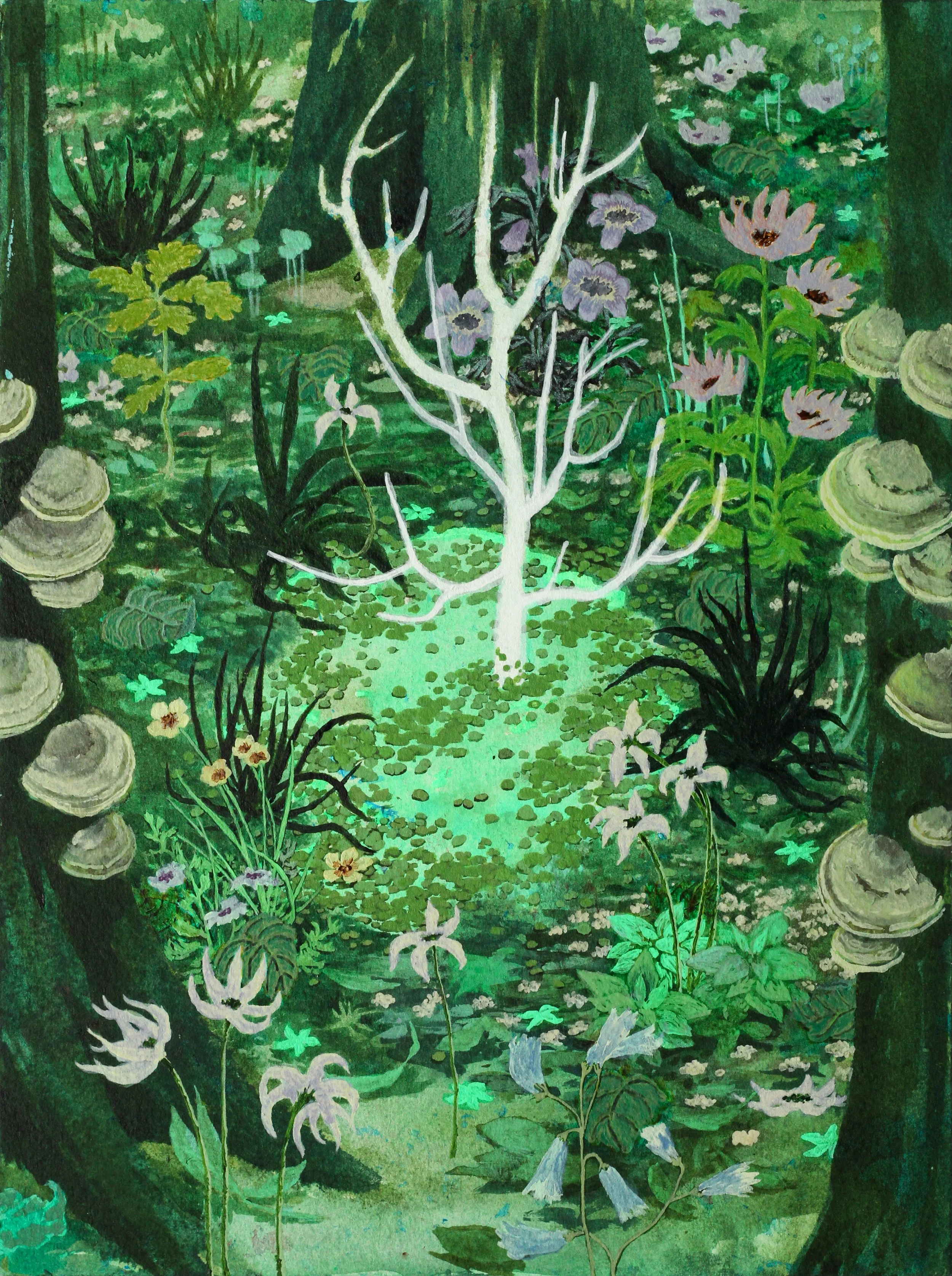 Rising sycamore, 31x23cm.JPG