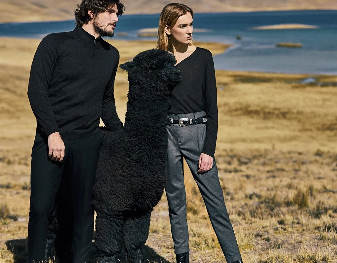 alpaca negra 07.jpg