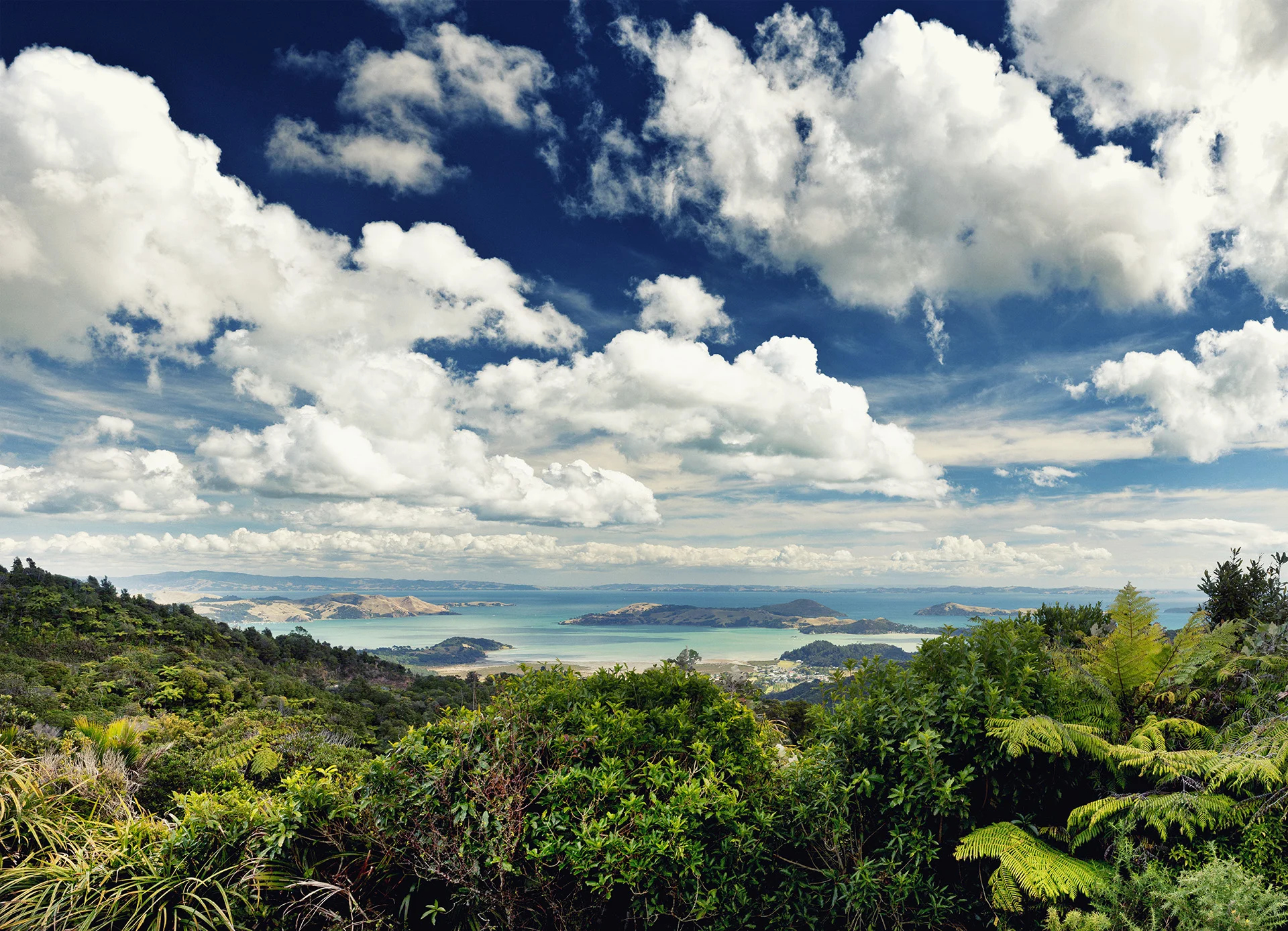 Coromandel SH 25
