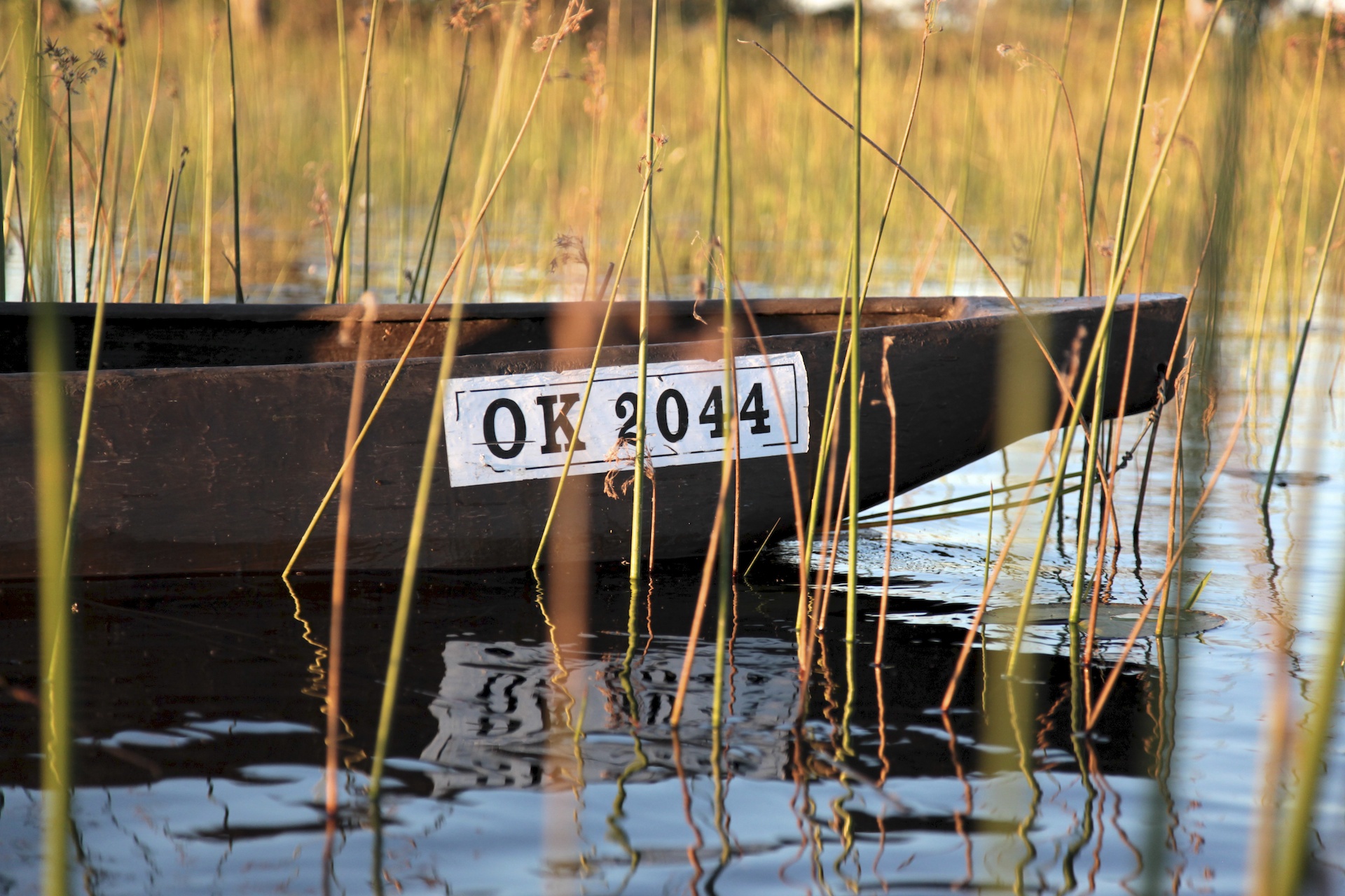 009_Okavango_Delta.jpg