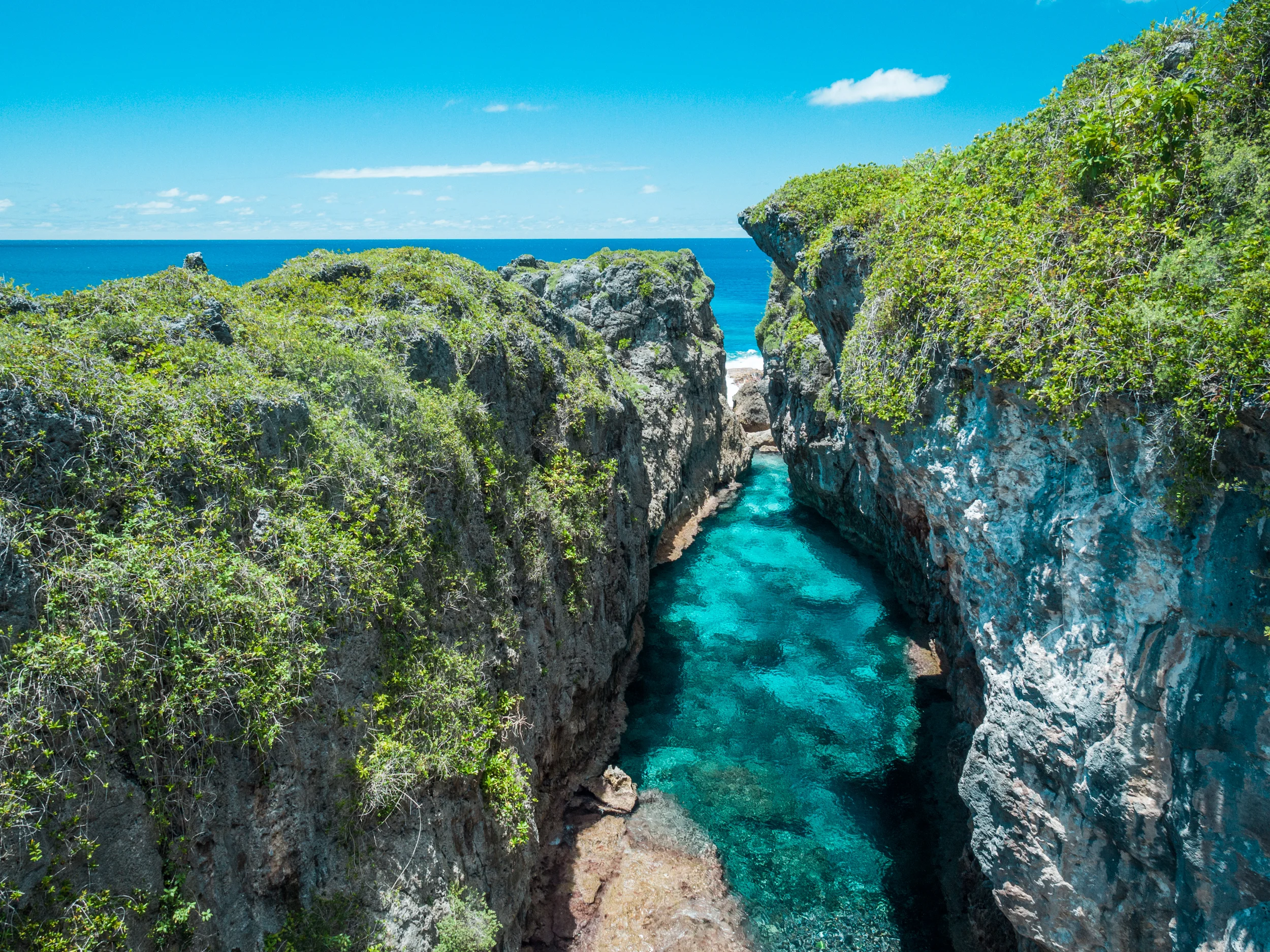 DJI_0006.jpg