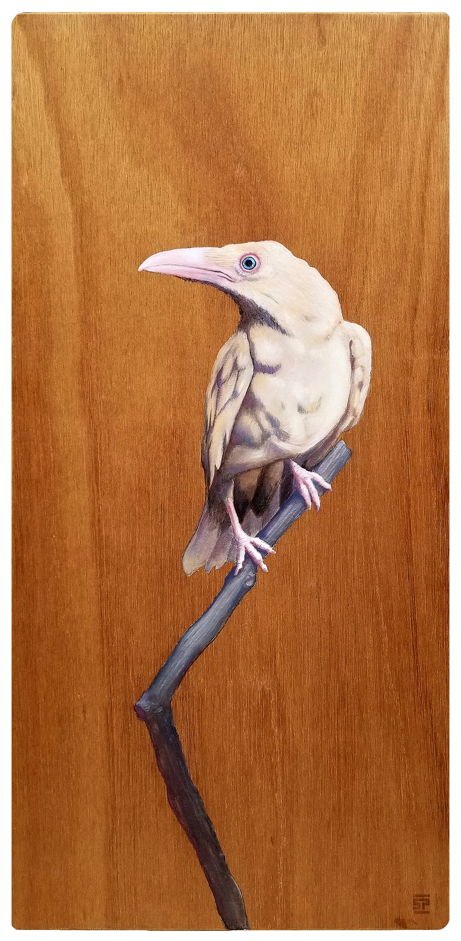 The White Raven - SOLD