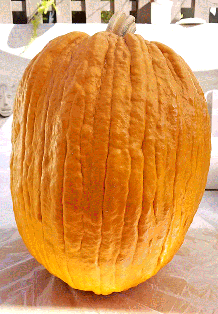 BeetlejuiceAnim.gif