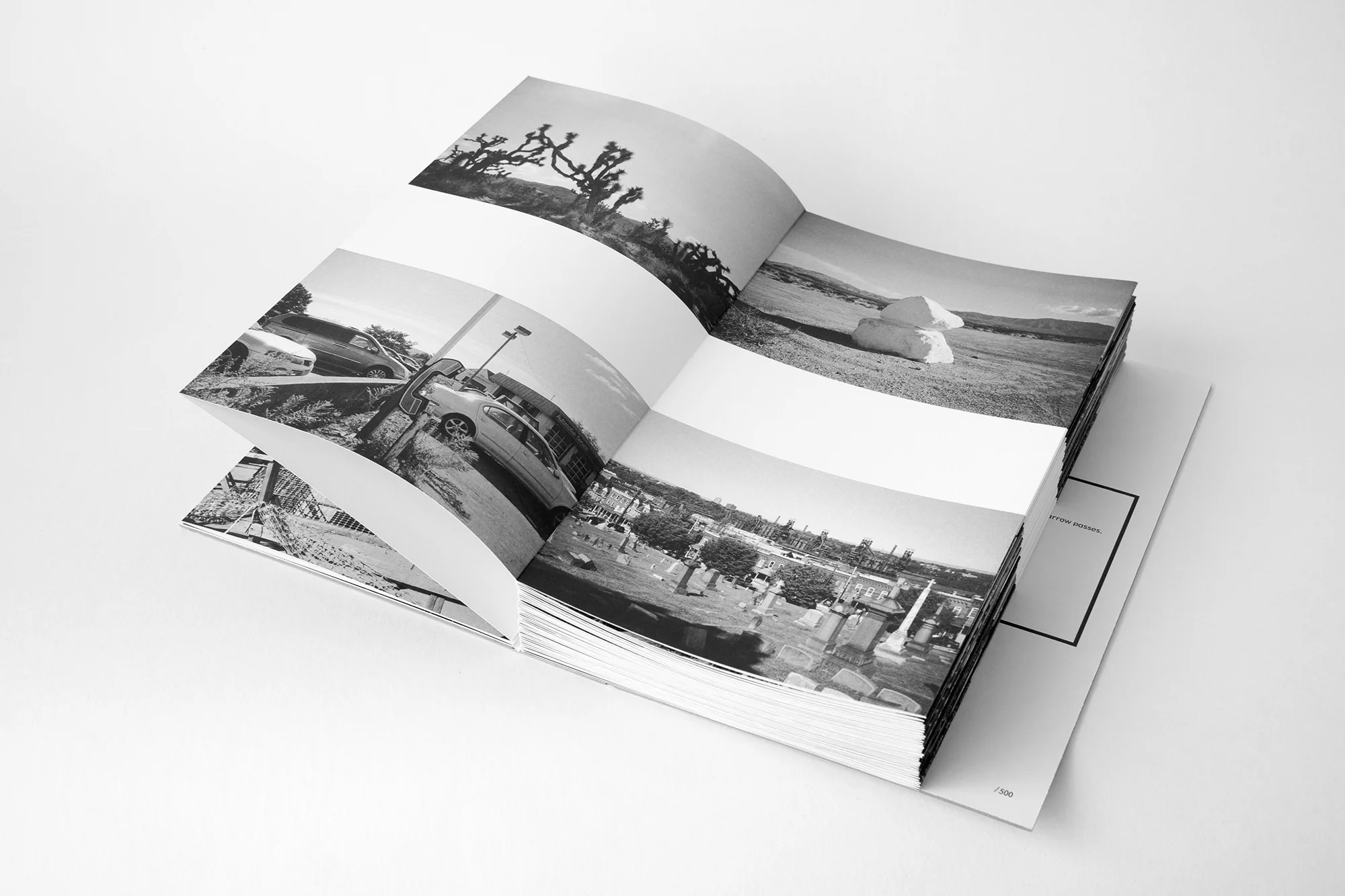 spread_1.jpg